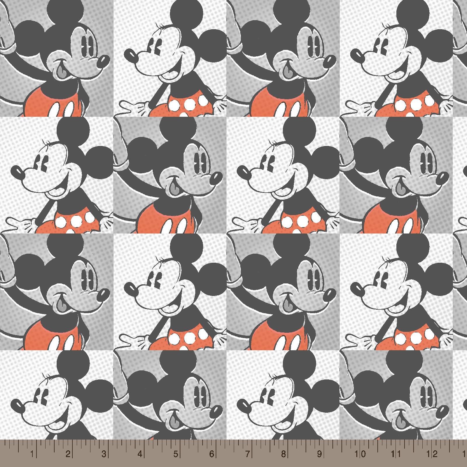 Find The Disney Mickey Minnie Vintage Multicolored Pop Art