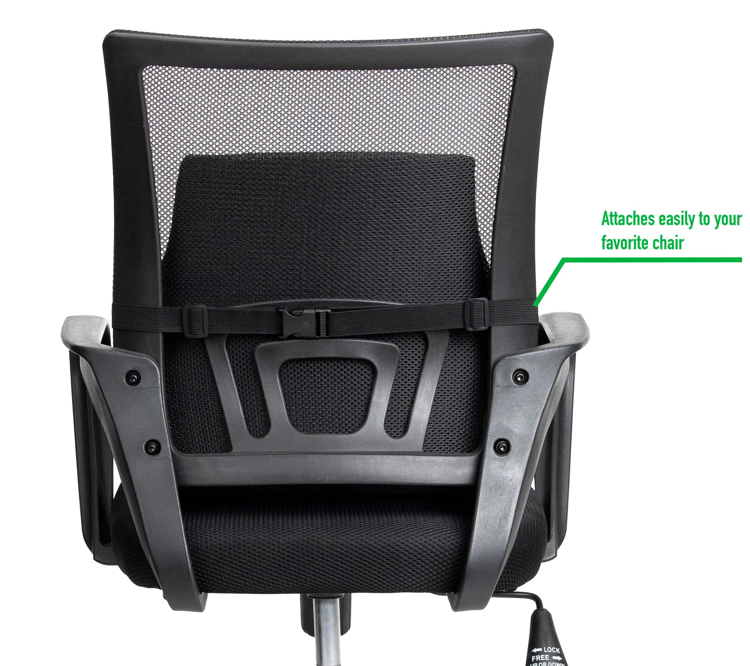 Mind Reader Teal & Black Ergonomic Back Cushion