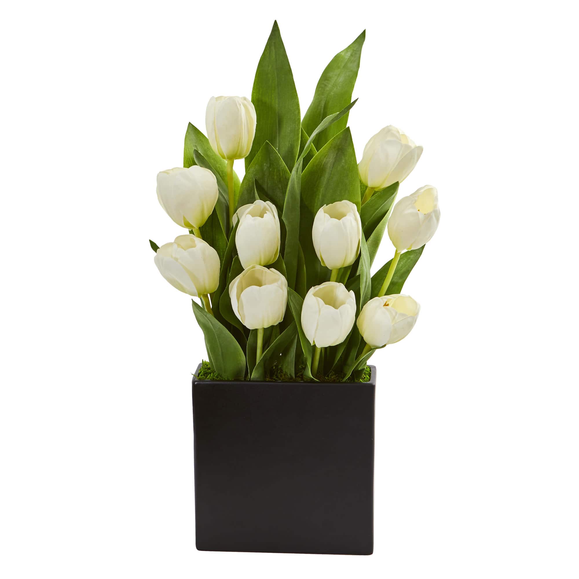 21&#x22; Tulip Arrangement in Black Vase
