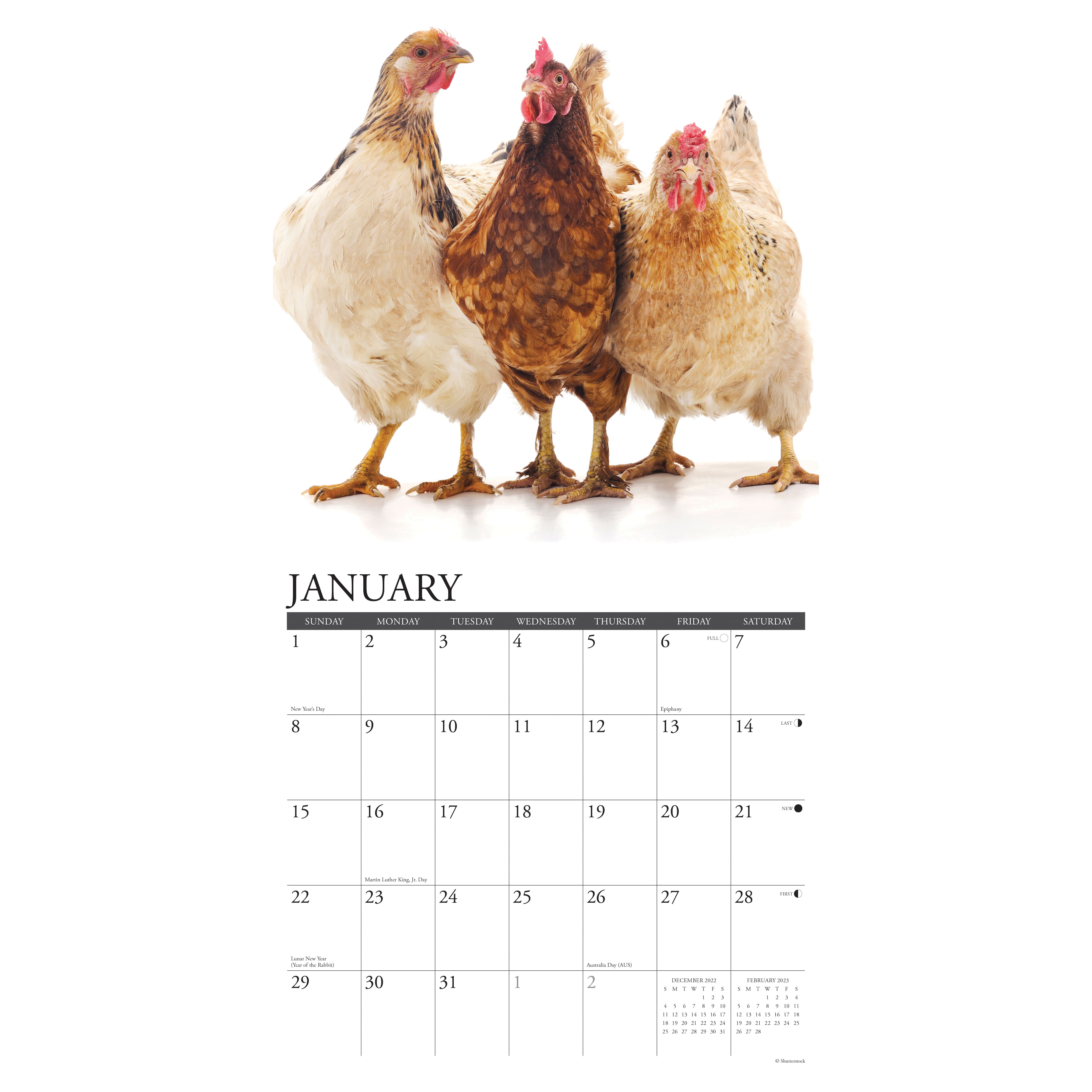 2023 Just Us Chickens Wall Calendar Michaels