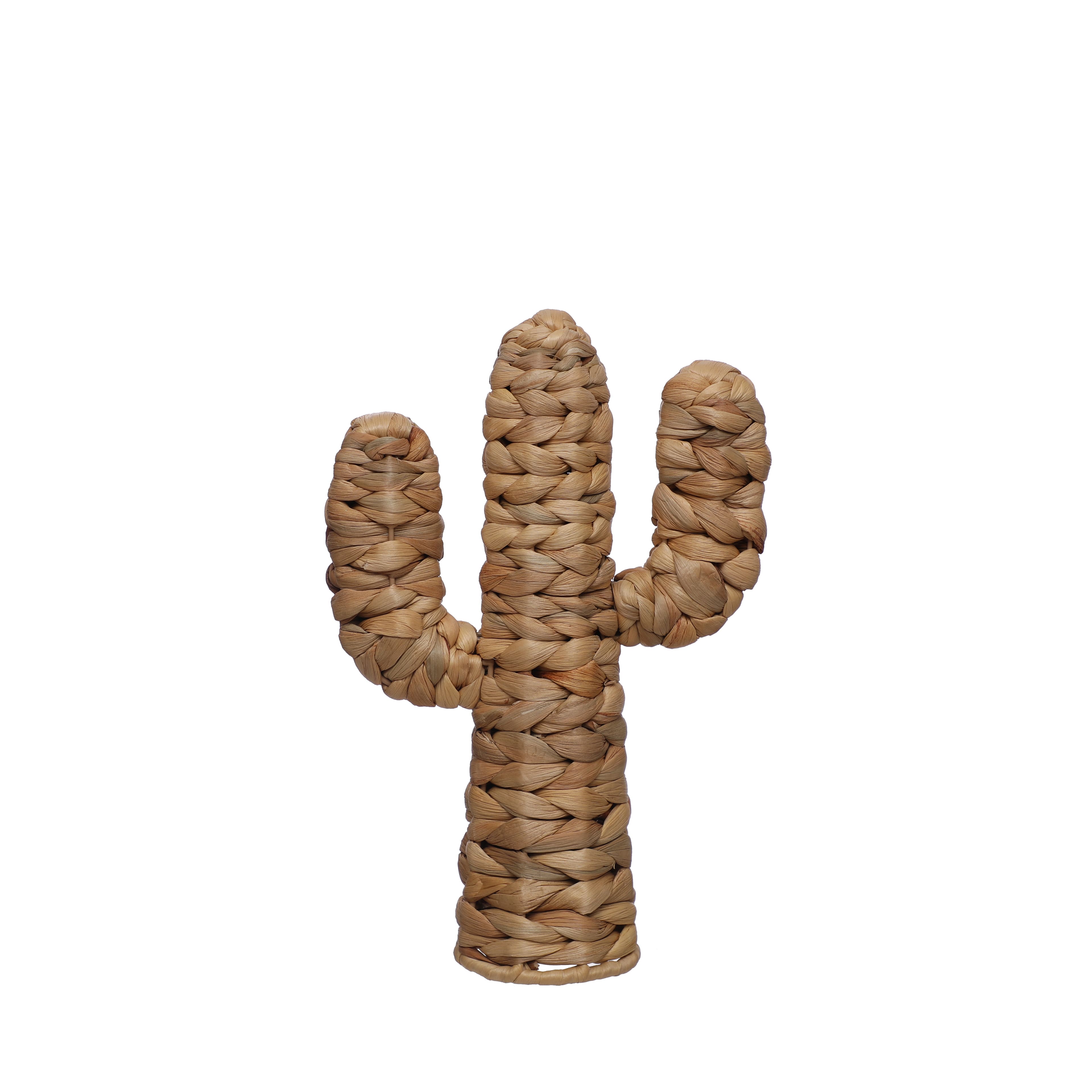 11.75&#x22; Water Hyacinth Cactus Tabletop D&#xE9;cor by Ashland&#xAE;