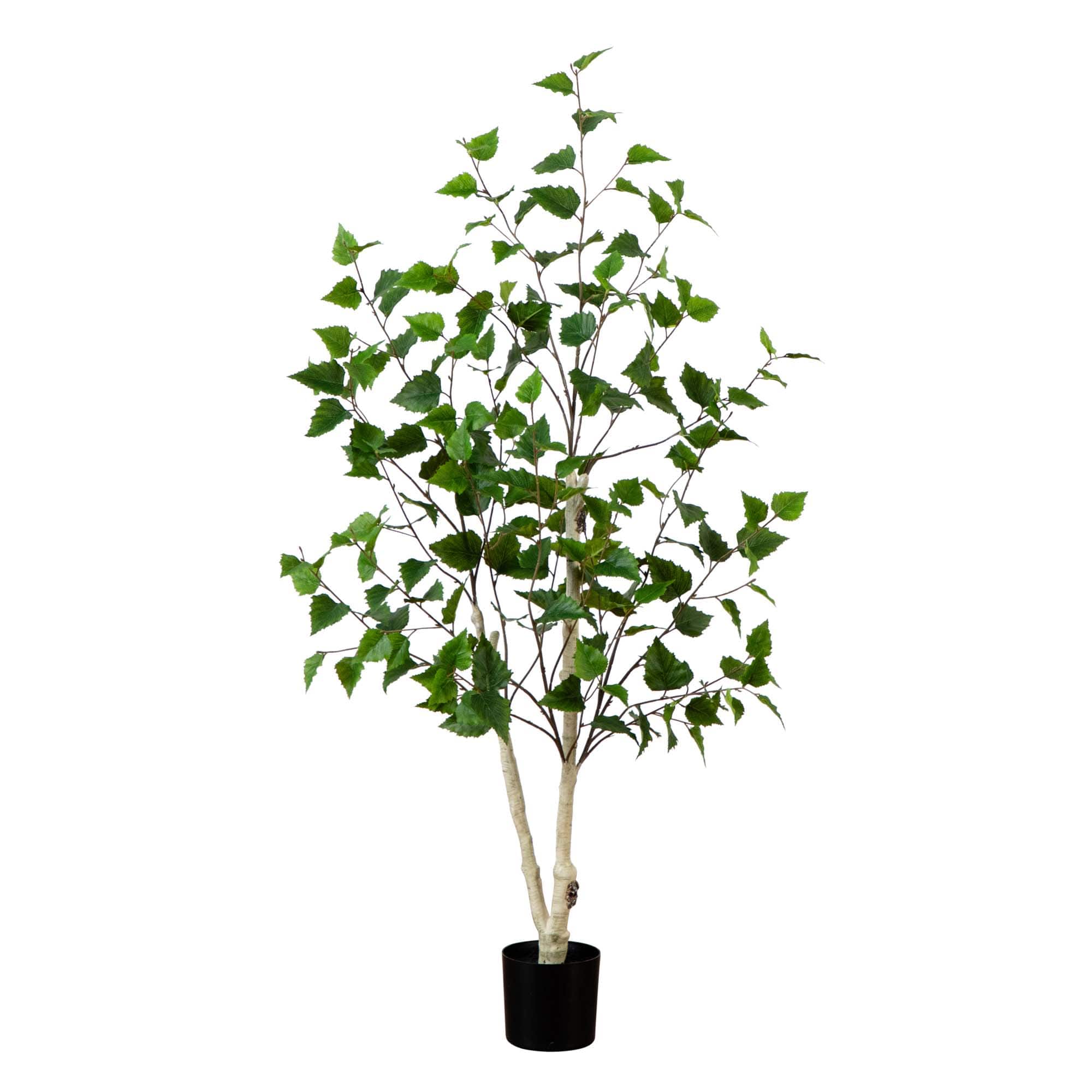 4ft. Potted Green Artificial Birch Tree with Real Touch Leaves