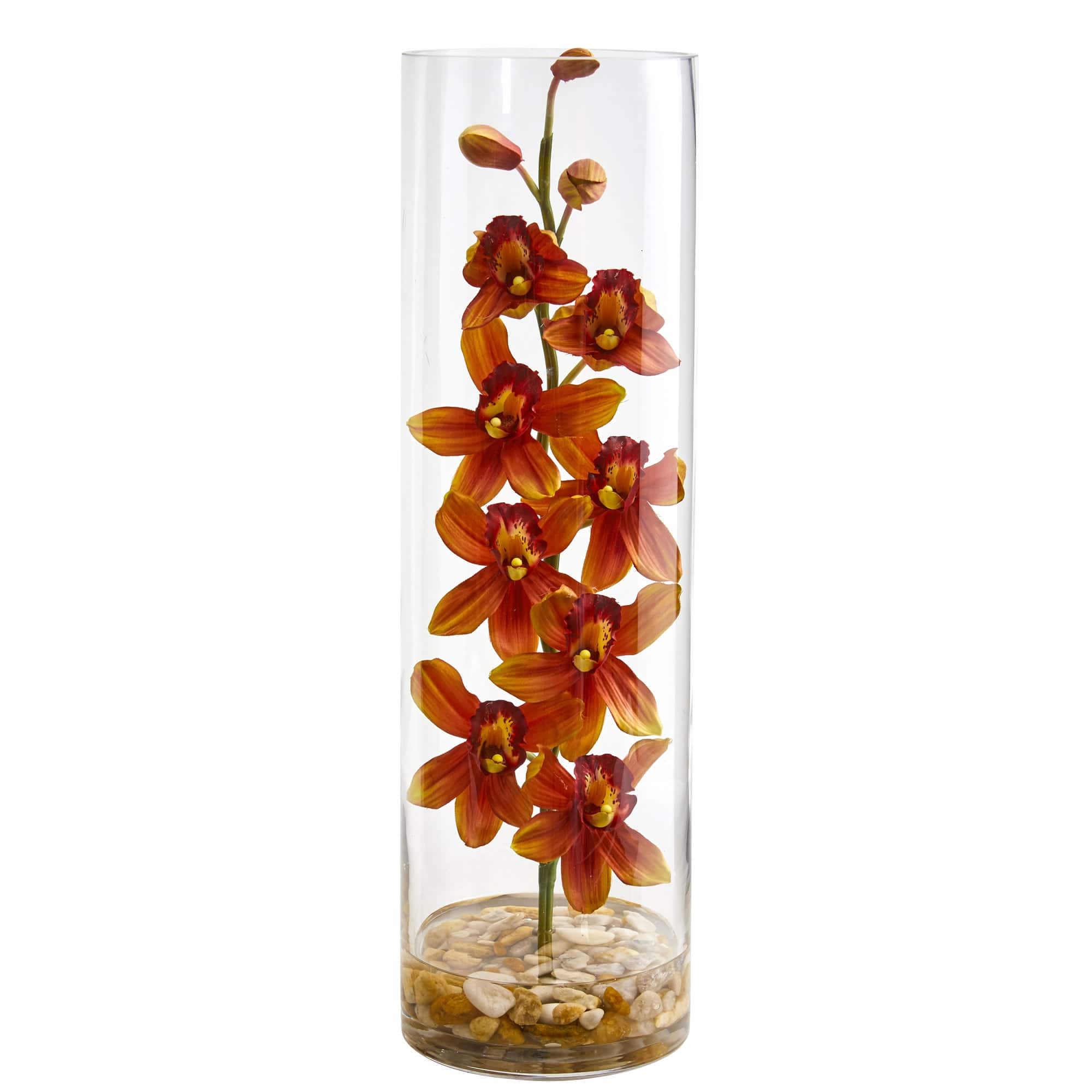 20&#x22; Burgundy Cymbidium Orchid Arrangement in Cylinder Vase