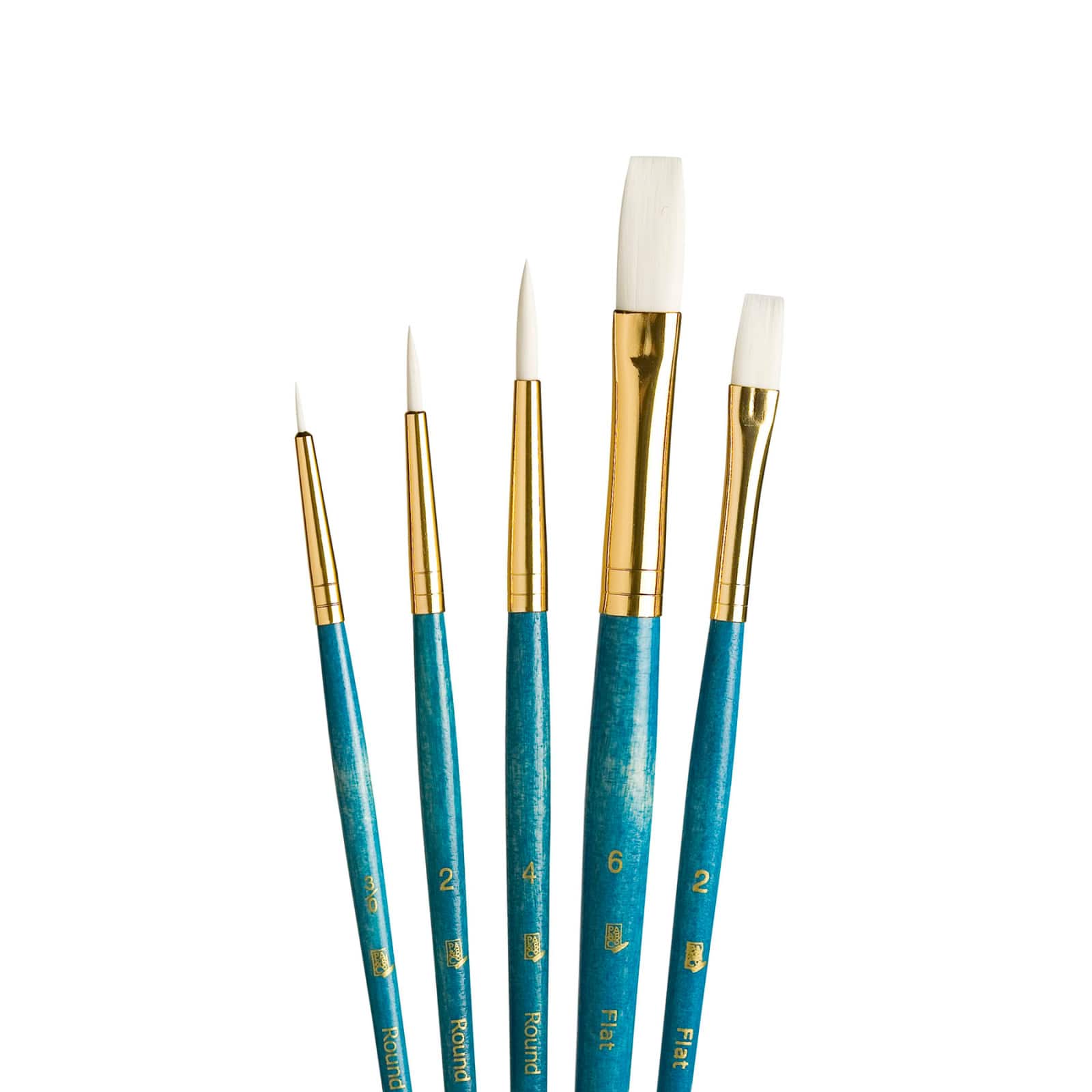 Princeton™ RealValue™ White Taklon 5 Piece Brush Set
