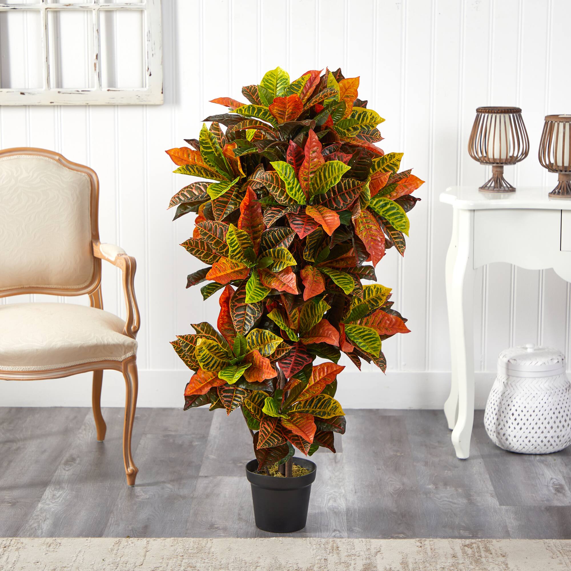 4.5ft. Potted Croton Plant