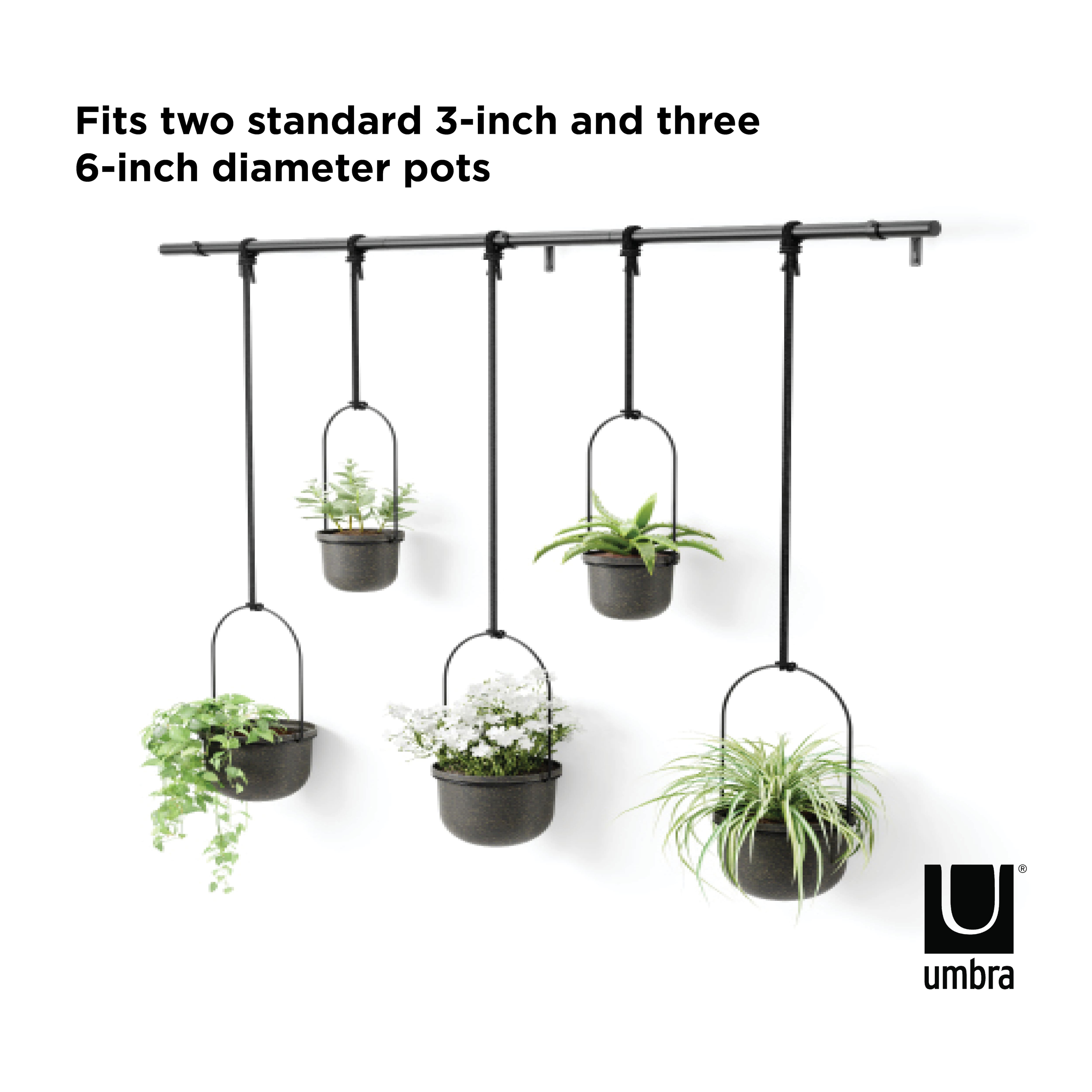 Umbra Black Triflora Hanging Planter Set