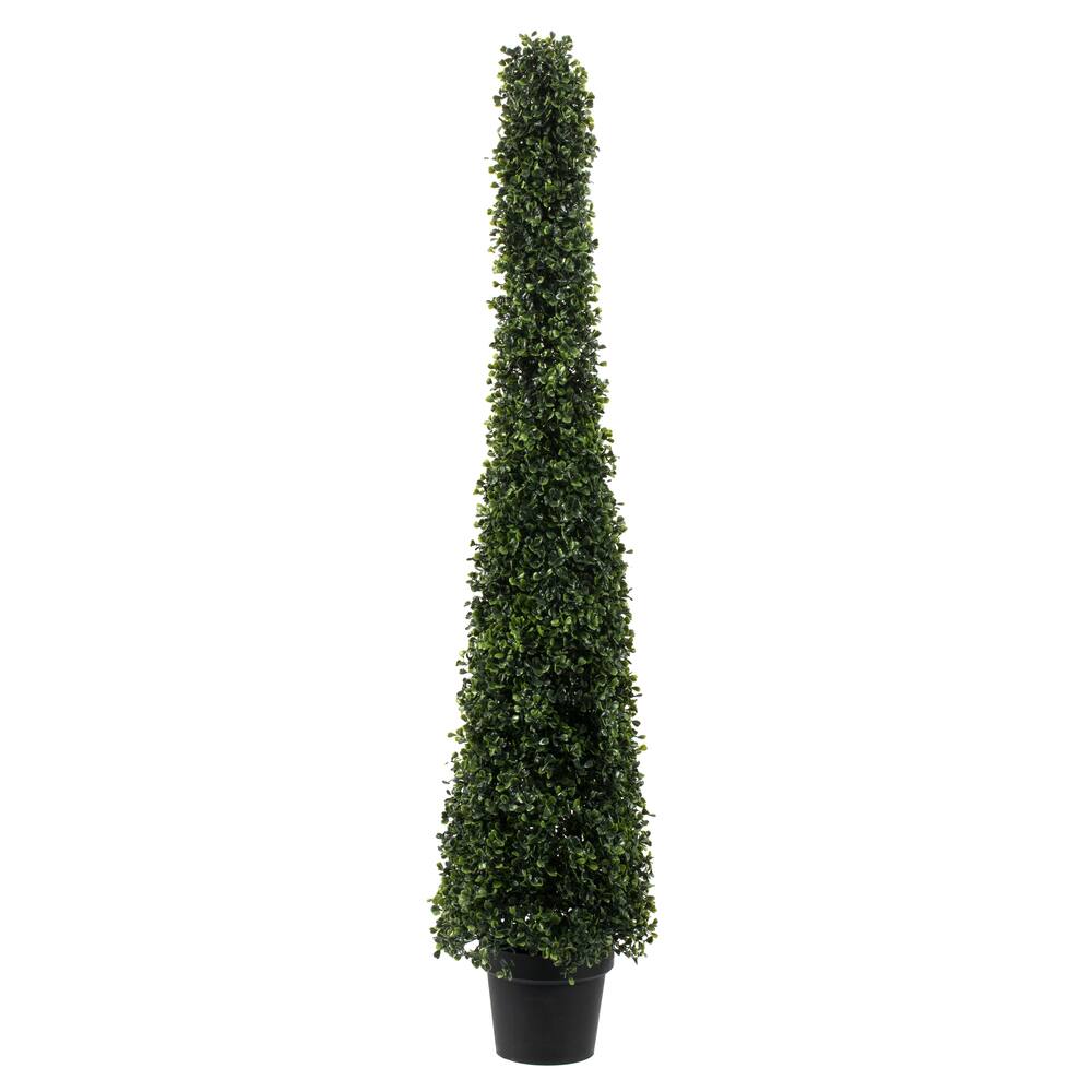 4ft. Potted Boxwood Cone