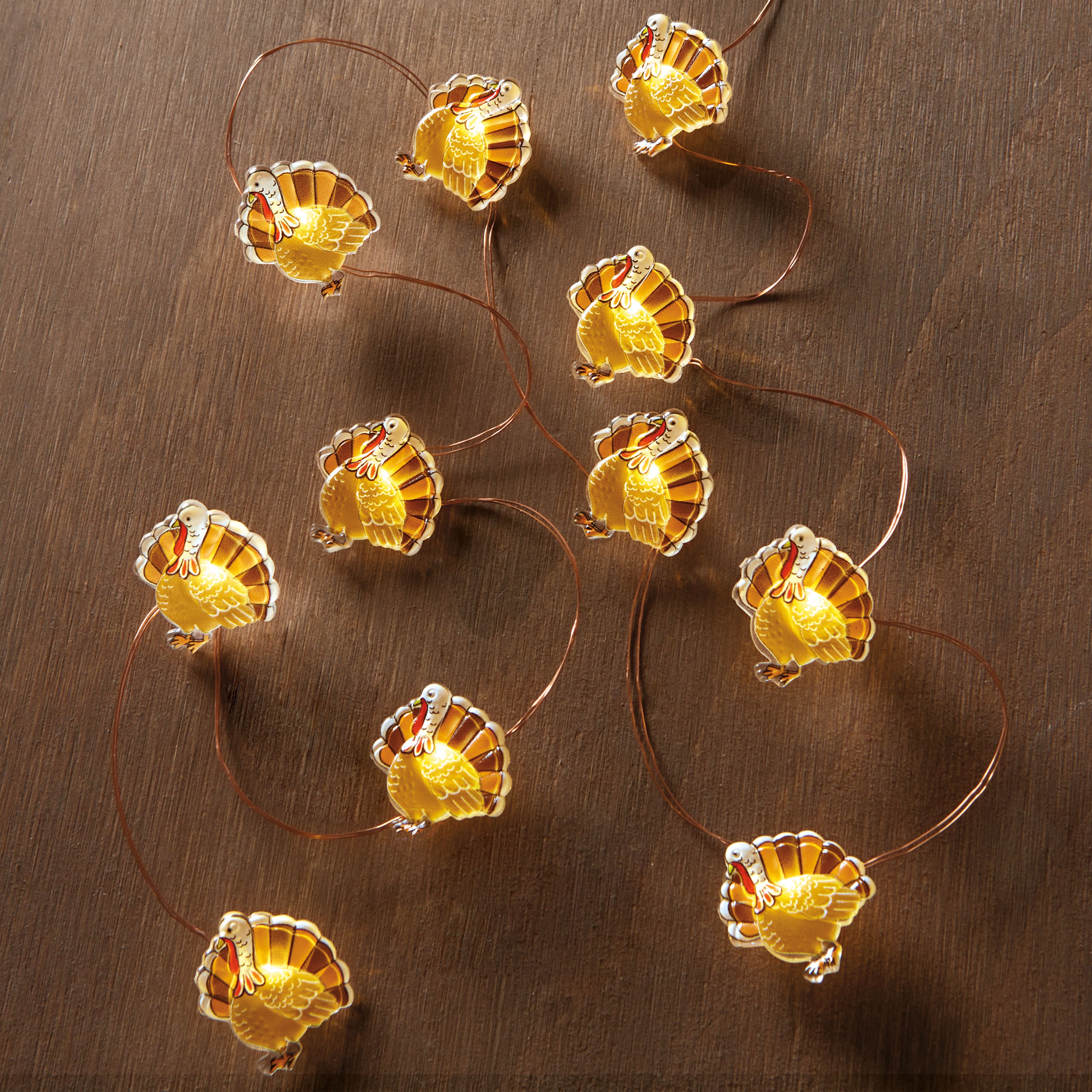18ct. Warm White LED Turkey Icon String Lights by Ashland®