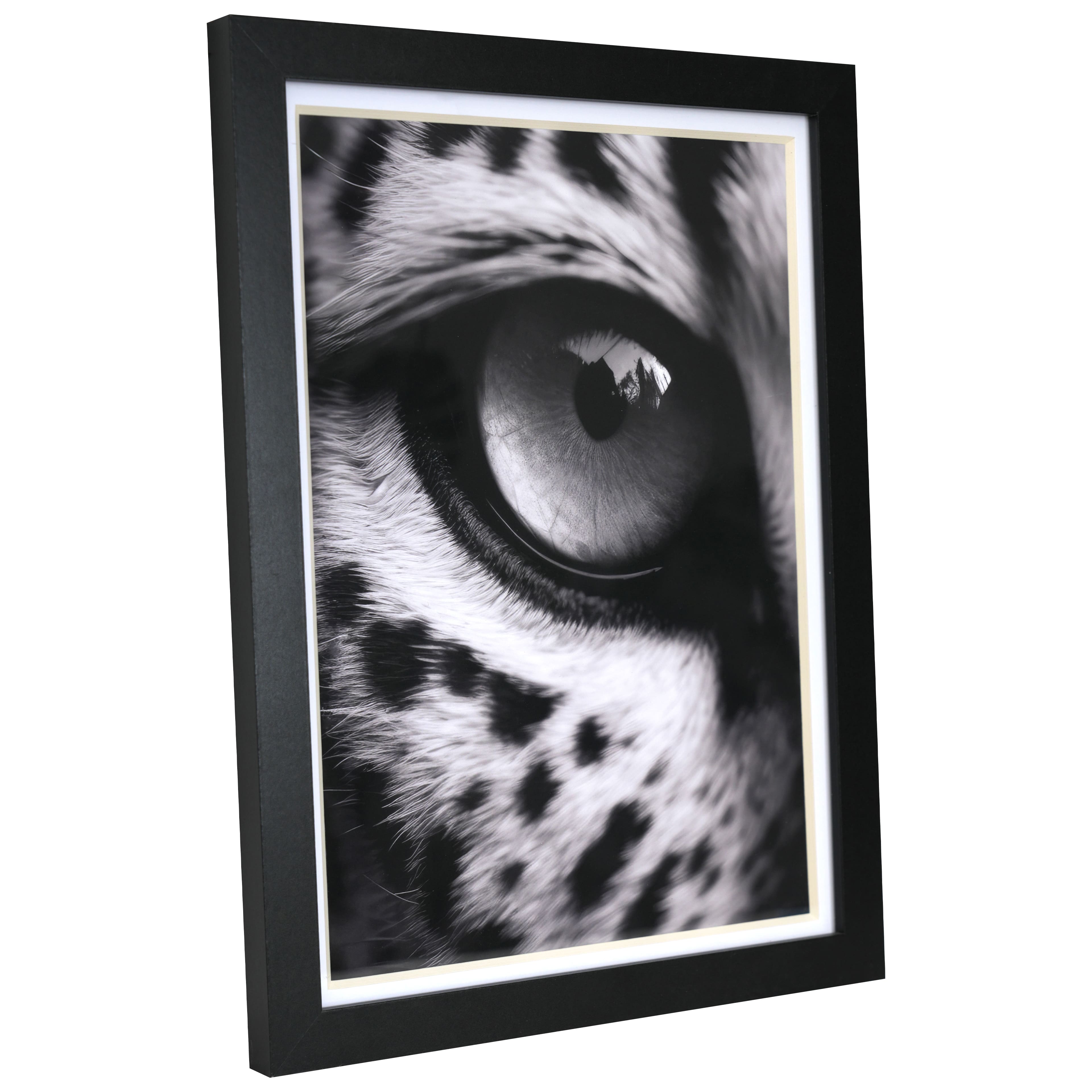 12&#x22; x 16&#x22; Leopard Eye Photo Wall D&#xE9;cor by Ashland&#xAE;