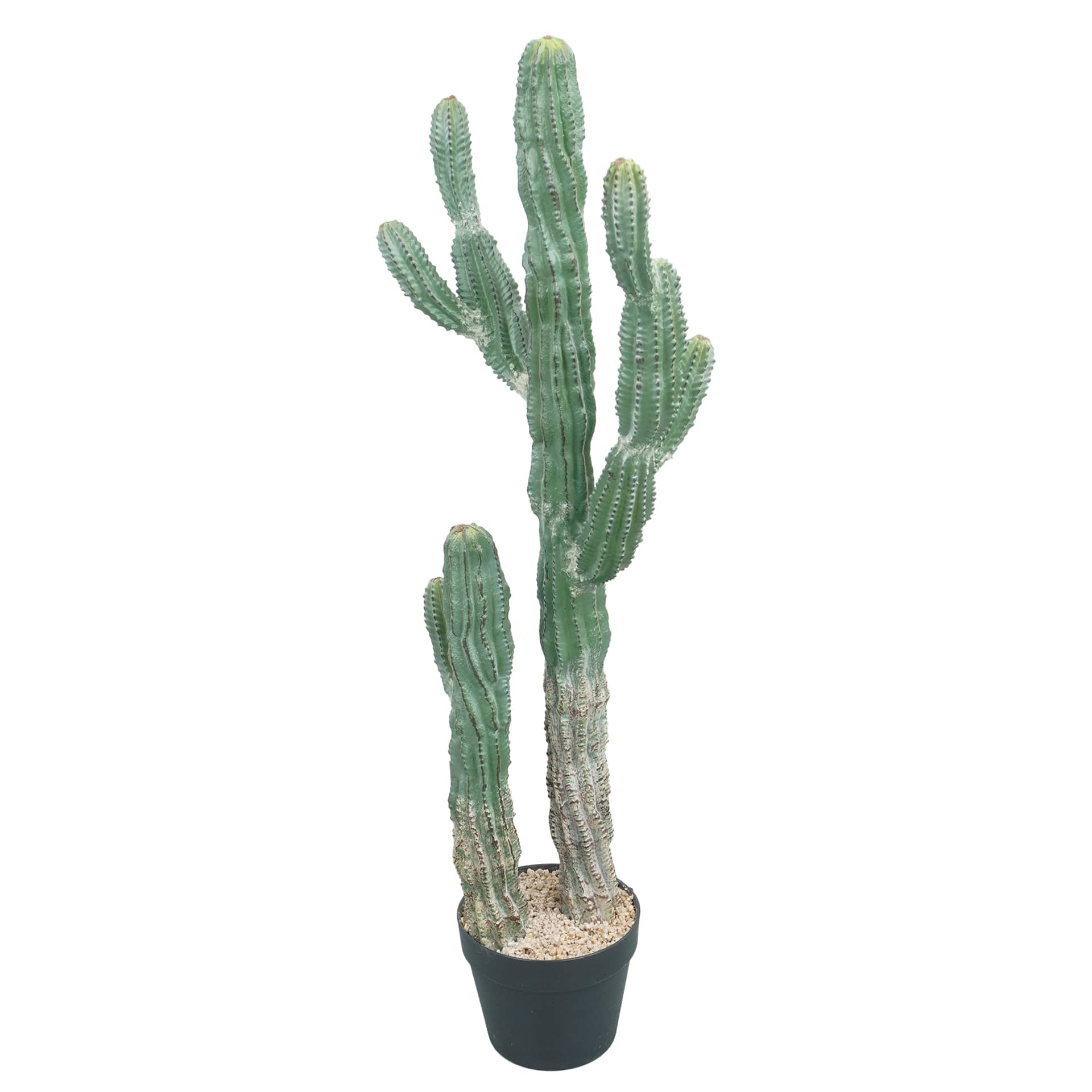 3ft. Potted Green Cactus Tree by Ashland®