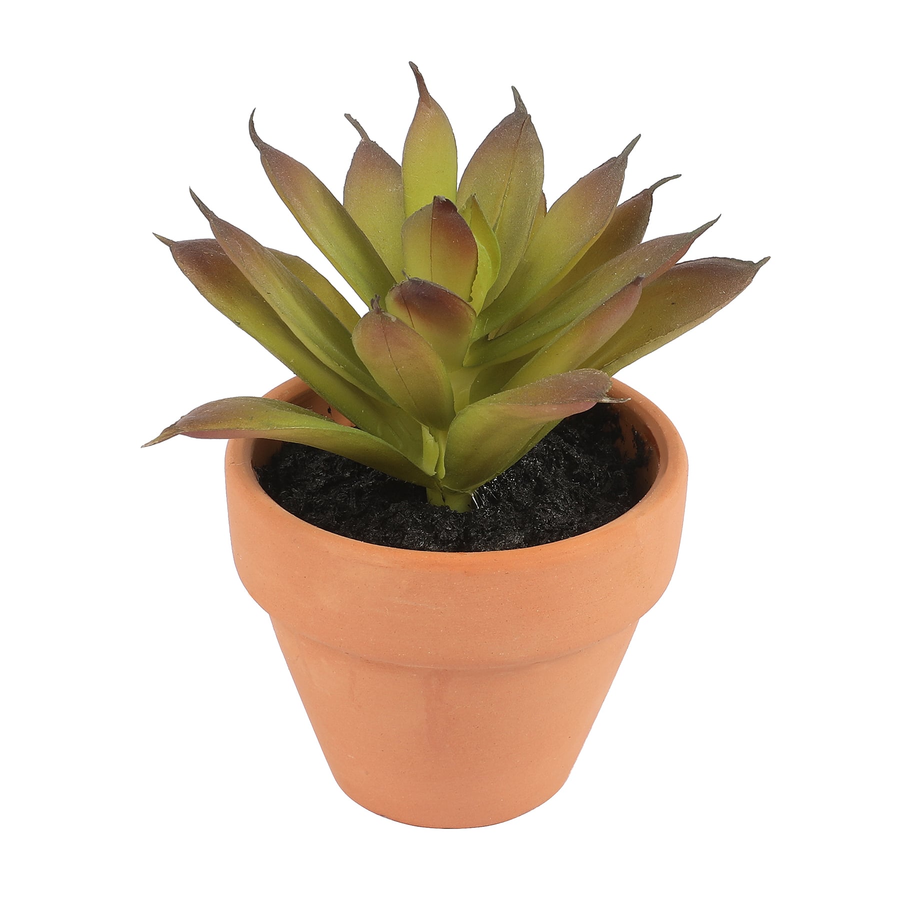 Mini Premade Succulents in Terra Cotta Pots, 6ct. by Ashland&#xAE;