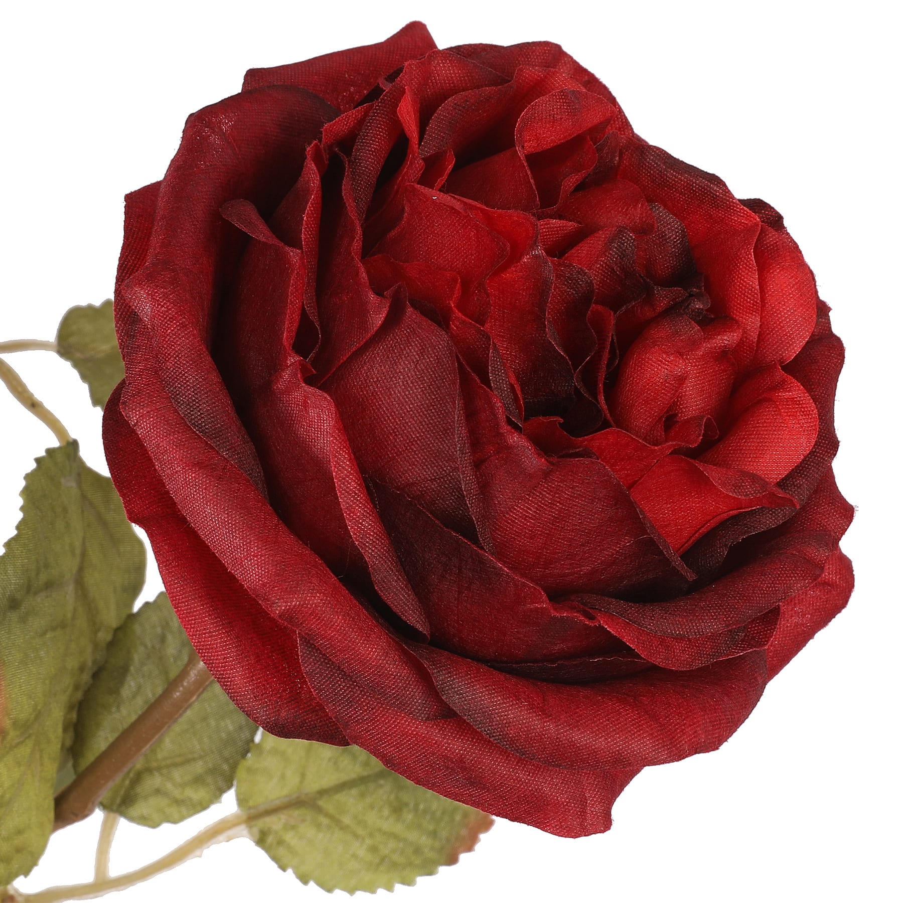 20&#x22; Deluxe Burgundy Rose Bush by Ashland&#xAE;