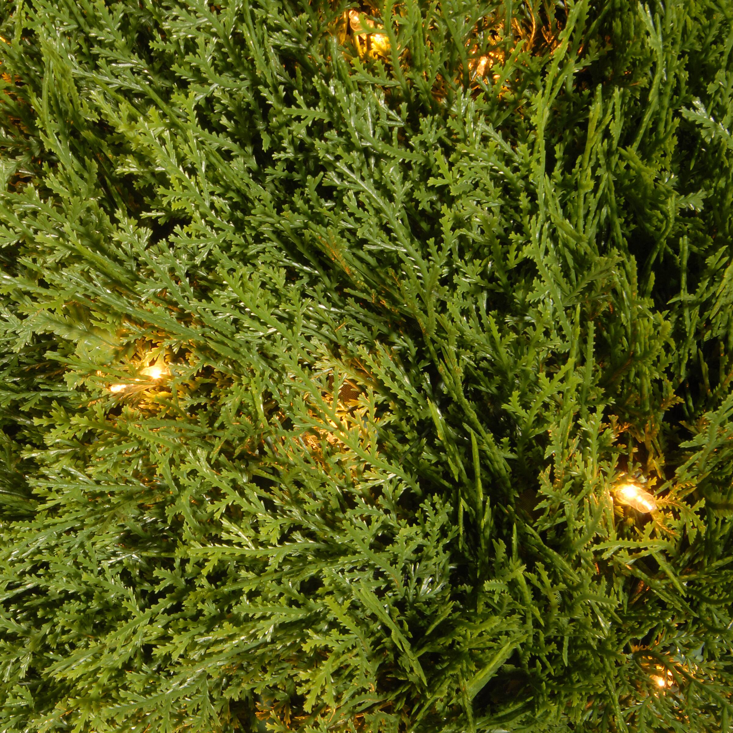 24&#x22; Cedar Pine Topiary with Round Green Growers Pot with 100 Clear Lights