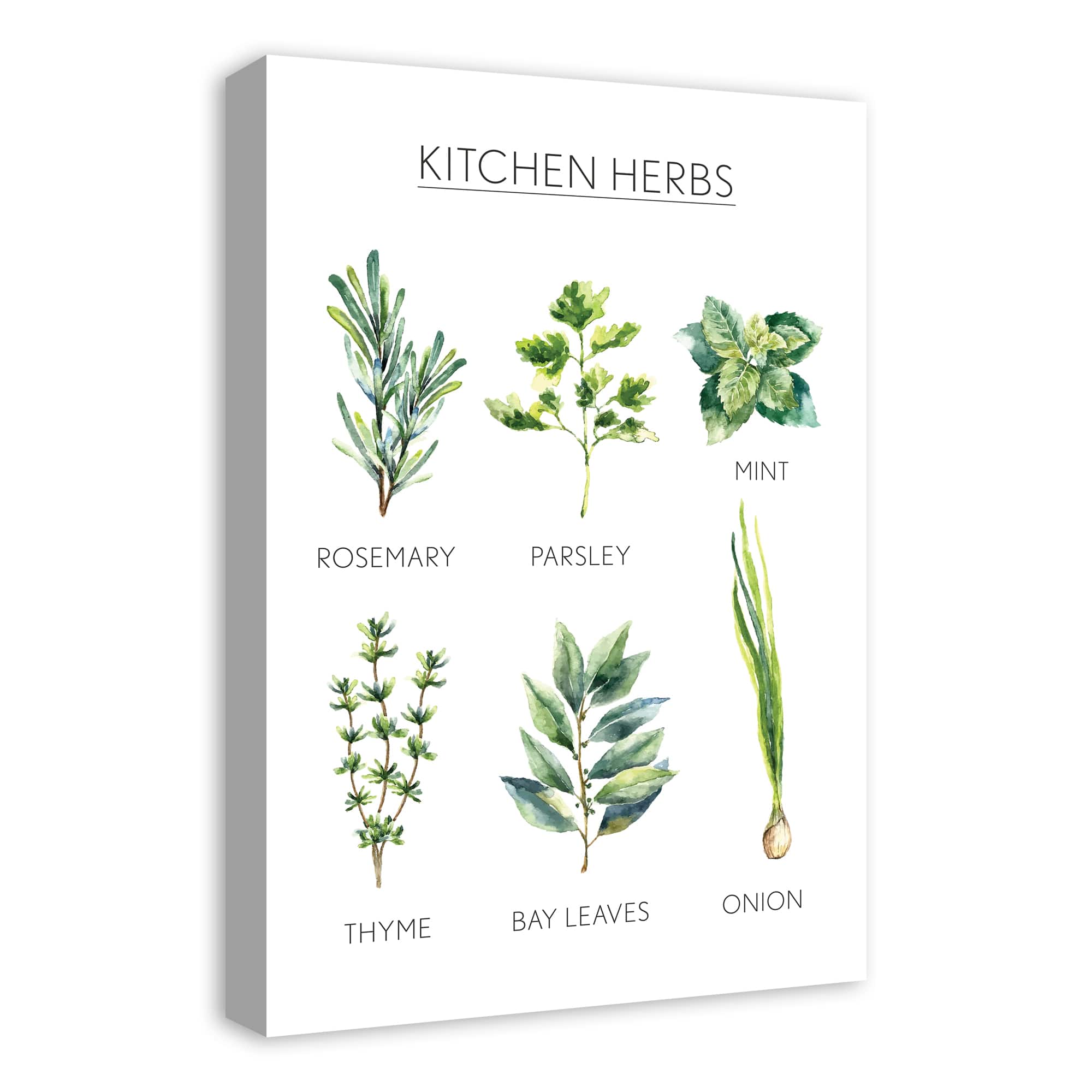 Watercolor Kitchen Herbs Handwritten Canvas Wall Art