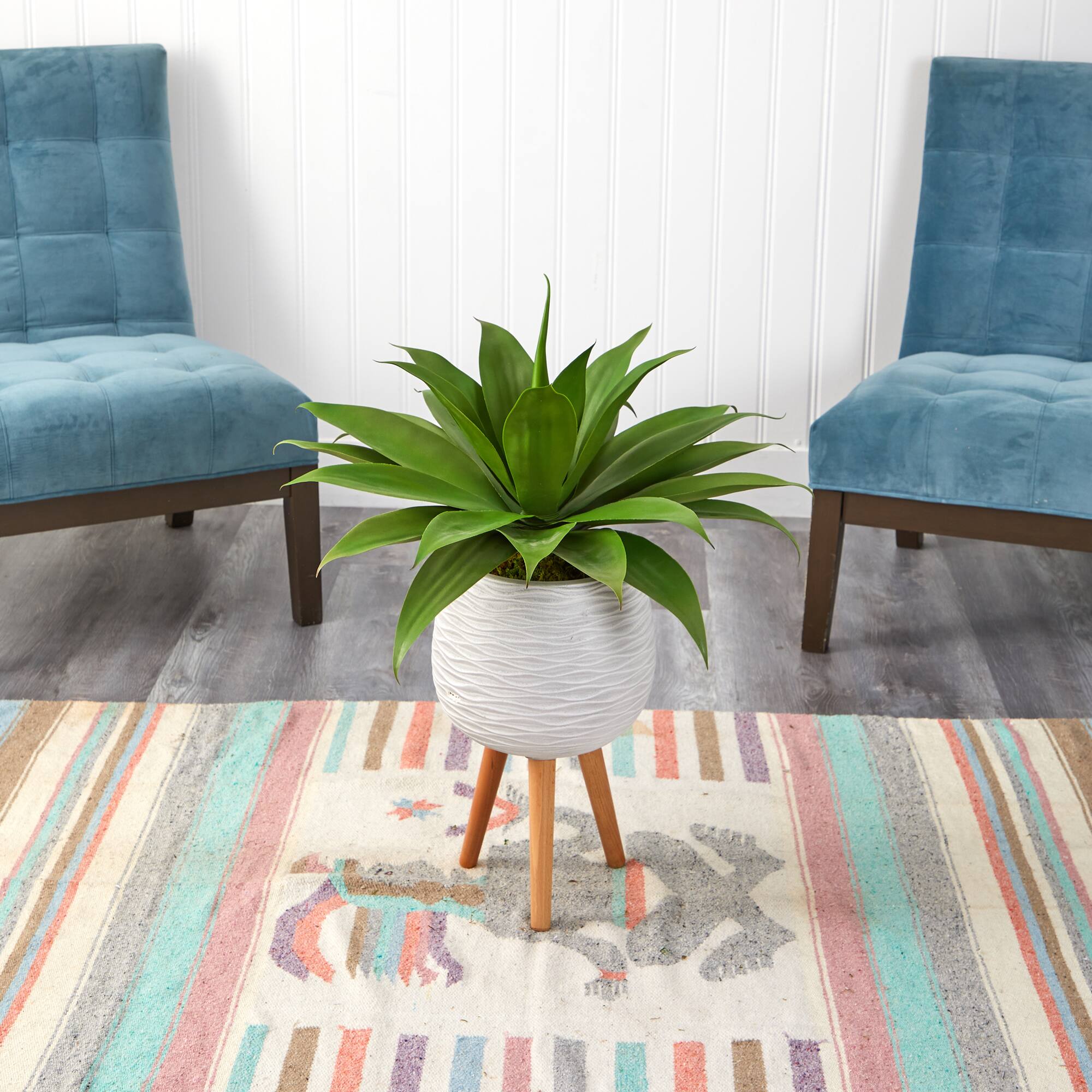 2.5ft. Agave Plant in White Planter with Stand