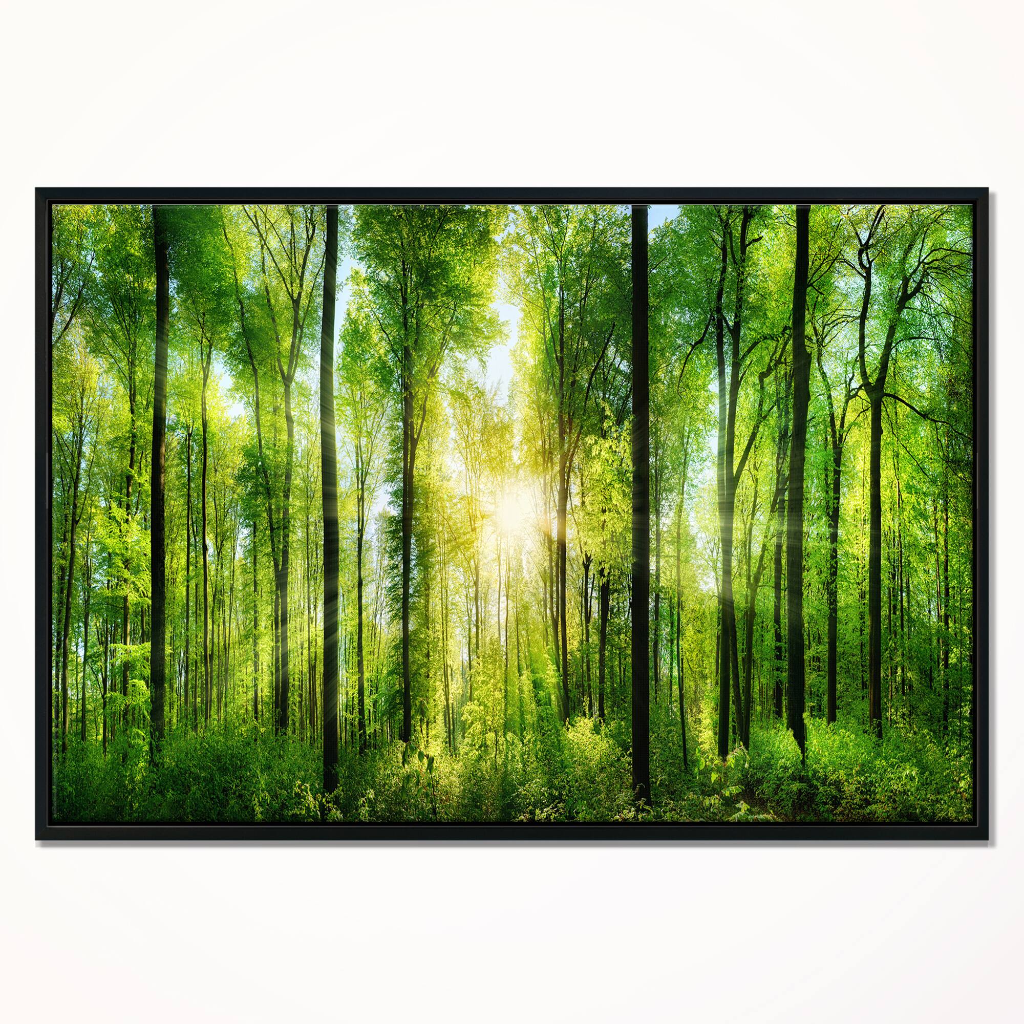 Designart - Forest with Rays of Sun Panorama - Landscape Art Print Framed Canvas