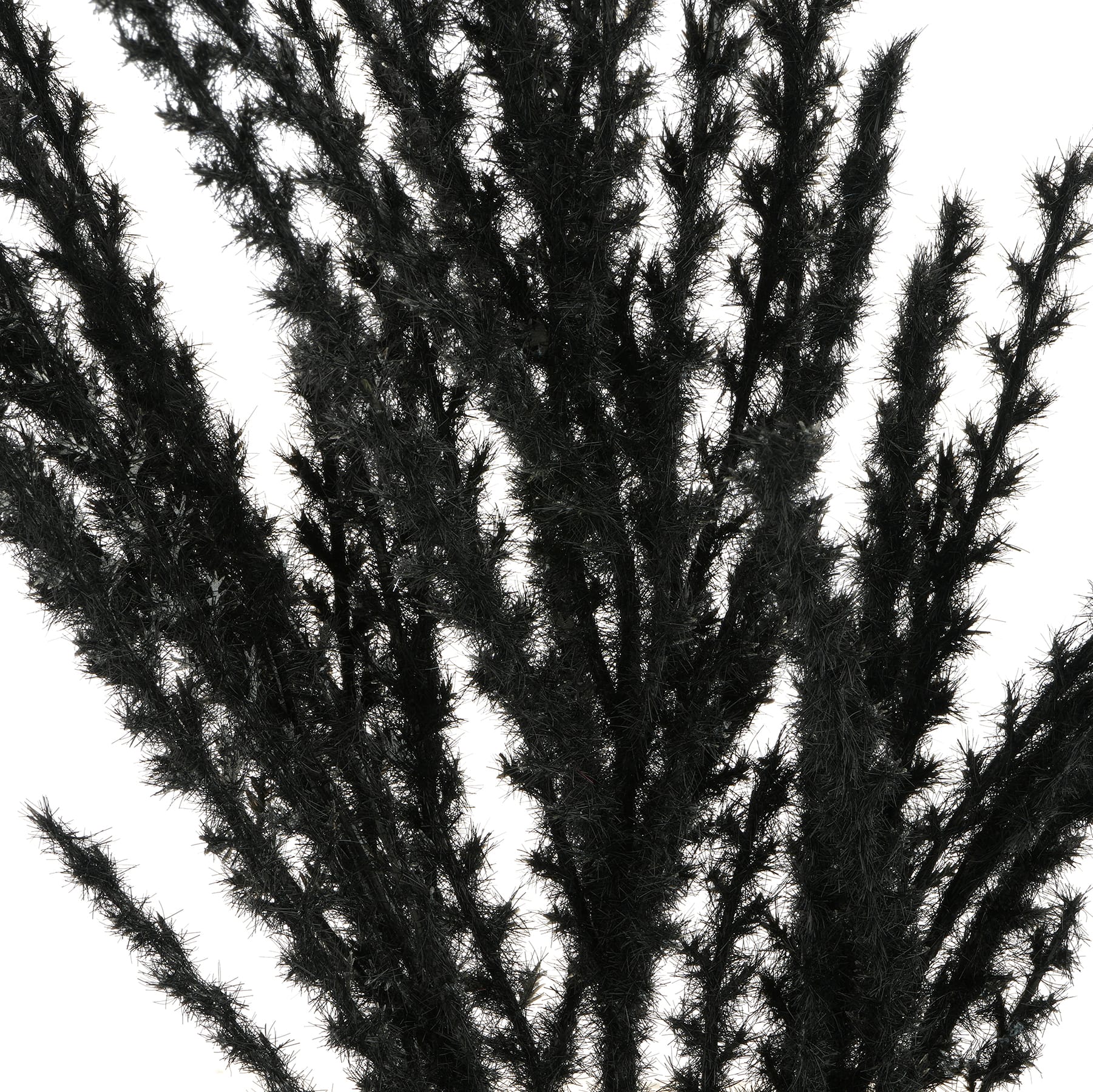 Ashland Pampas Grass Stem - Black - 31 in