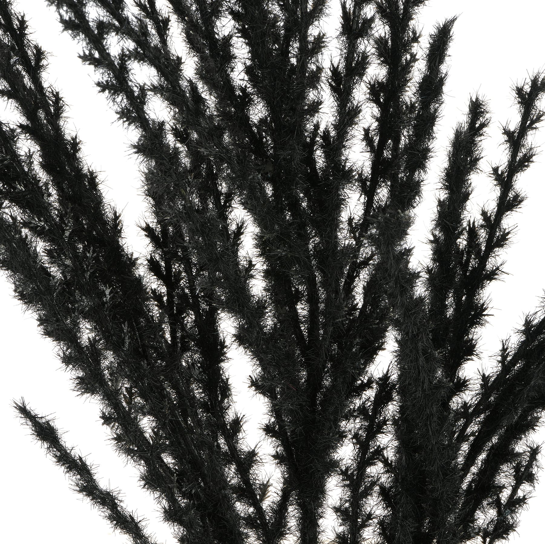 12 Pack: 31" Black Pampas Grass Stem by Ashland®