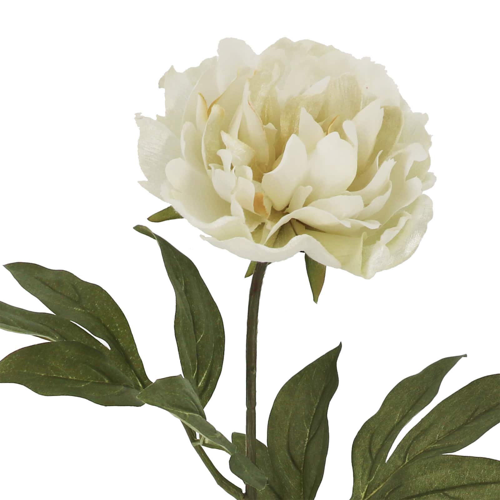 28&#x22; White Peony Stem by Ashland&#xAE;