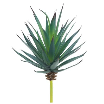 Blue-Green Agave Pick by Ashland® | Michaels