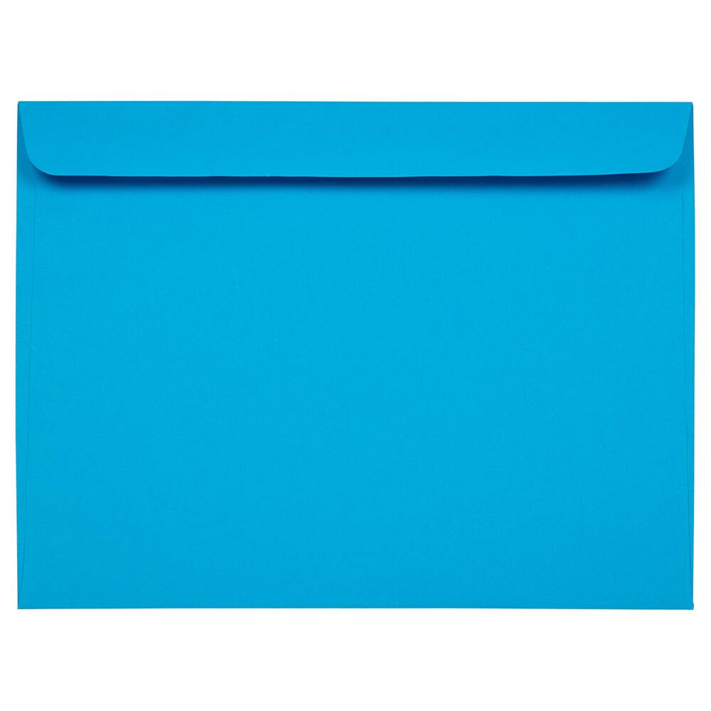 JAM Paper 9&#x22; x 12&#x22; Booklet Envelopes, 25ct.