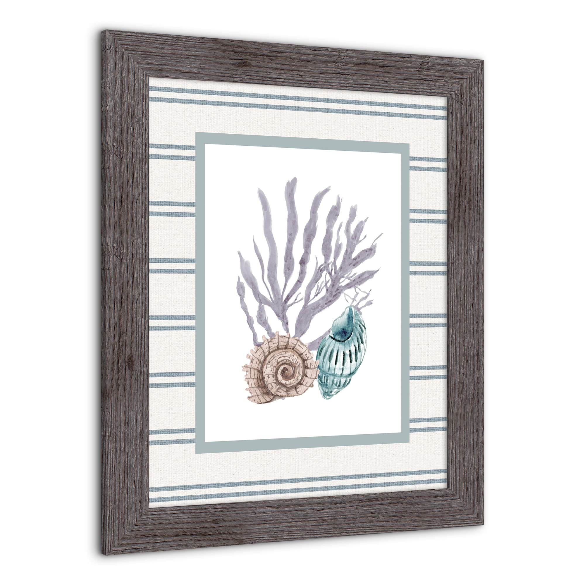 Snail & Banded Tulip Shell Western Framed Print