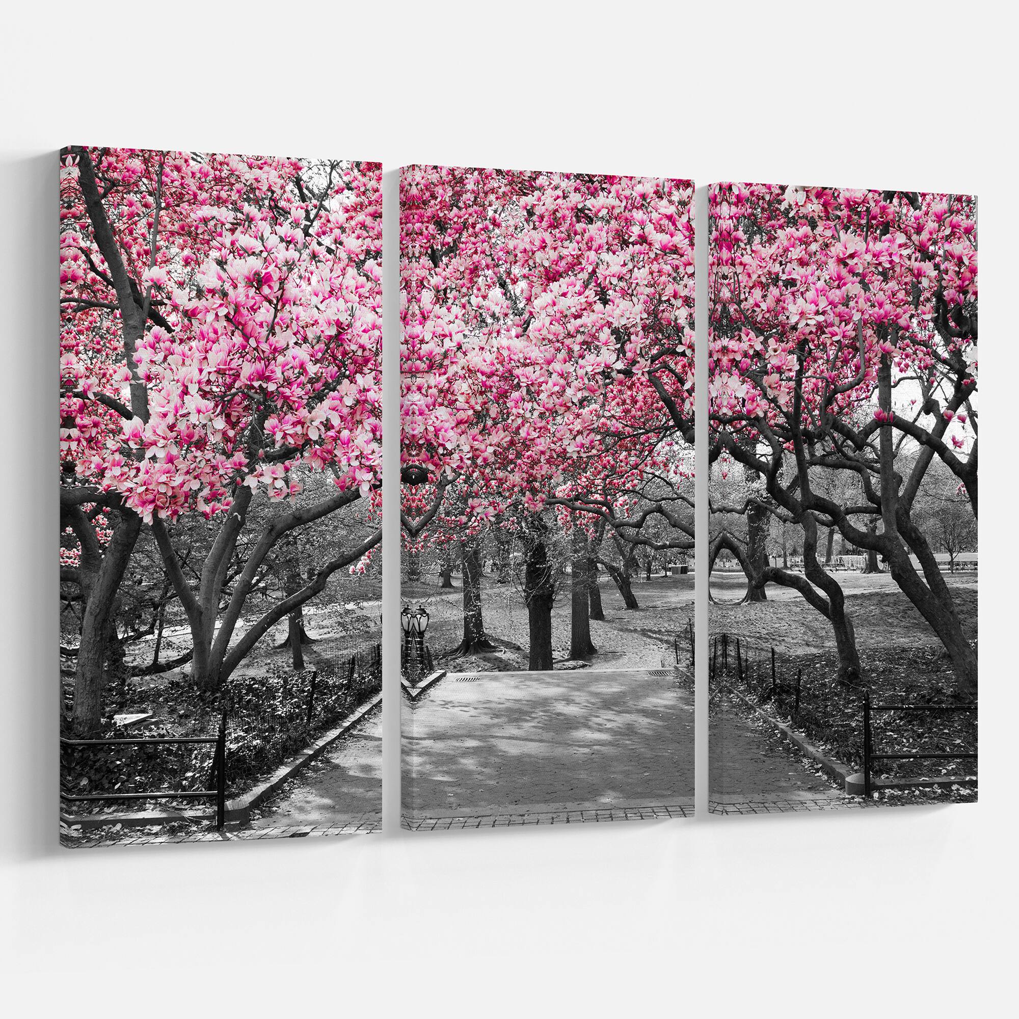 Designart Photographic Floral Cherry Blossoms Landscapes On Wrapped Canvas Set