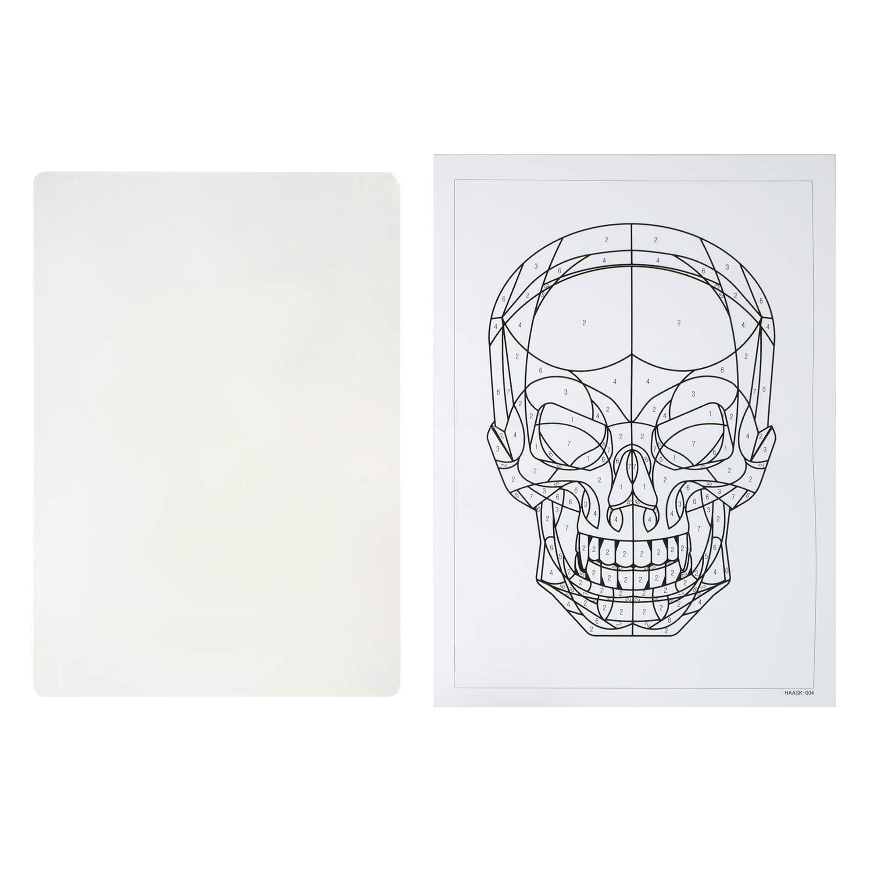 Skull Paint-by-Number Acrylic Surface Kit by Artist's Loft®