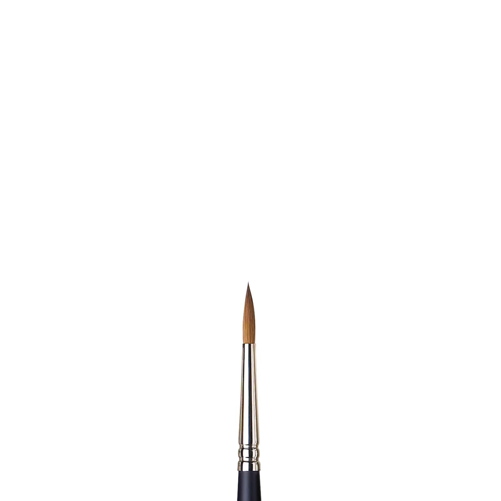 WN Professional Watercolor Sable Brushes - Round (Winsor & Newton) –  Alabama Art Supply