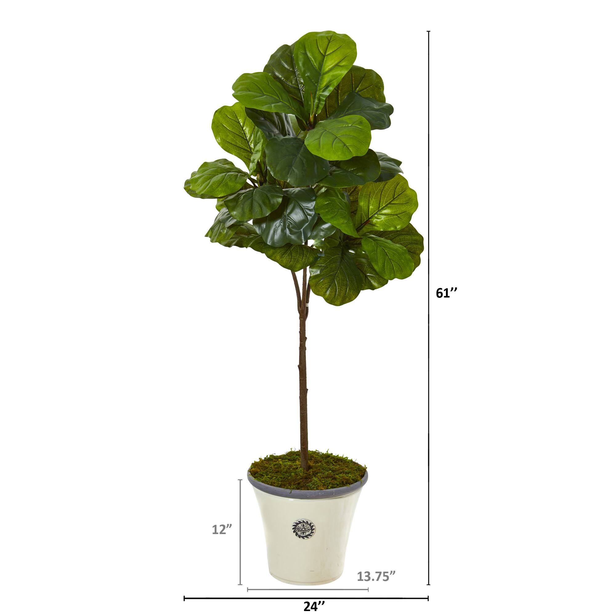 5ft. Fiddle Leaf Tree in Planter