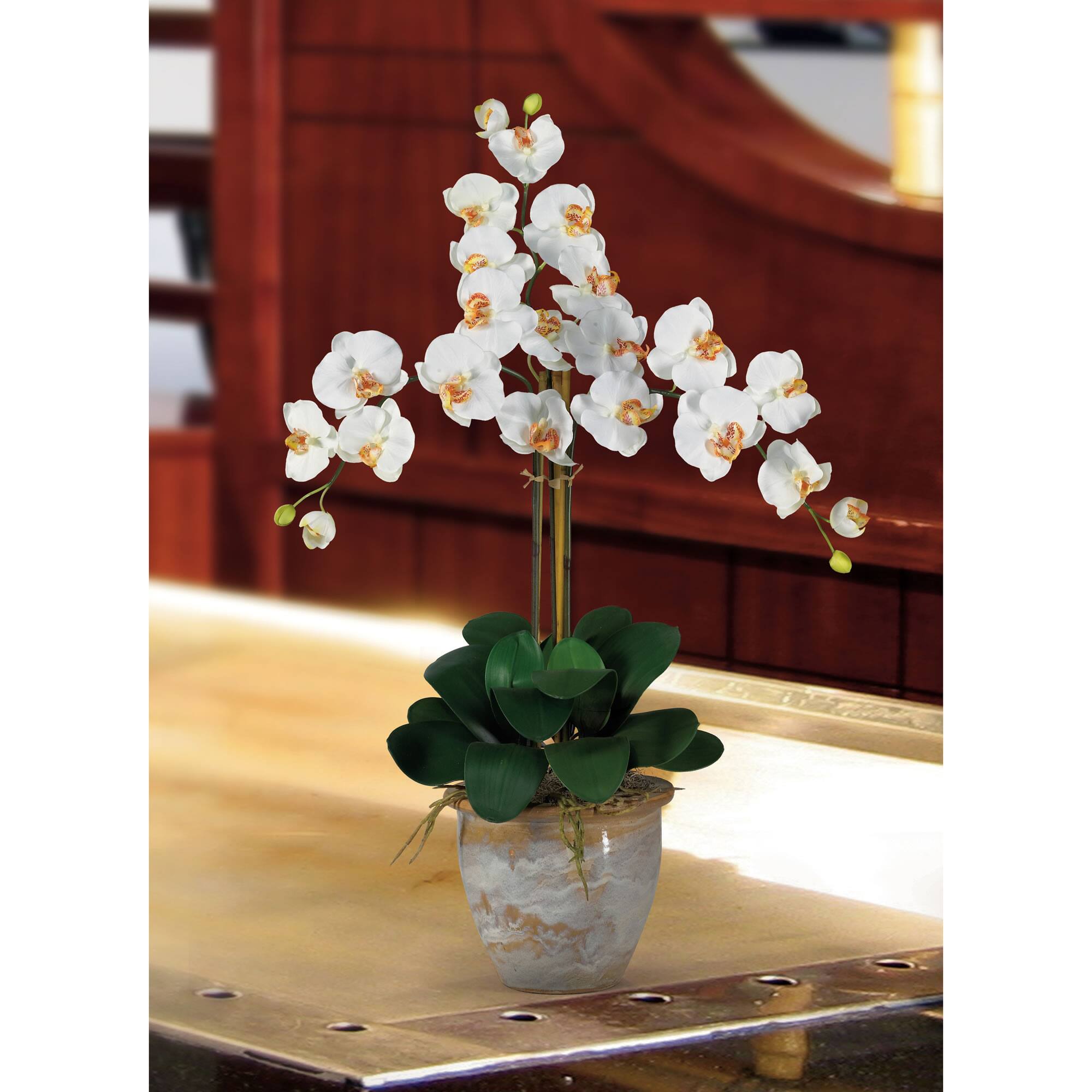 Triple Phalaenopsis Orchid Flower Arrangement In Ceramic Vase