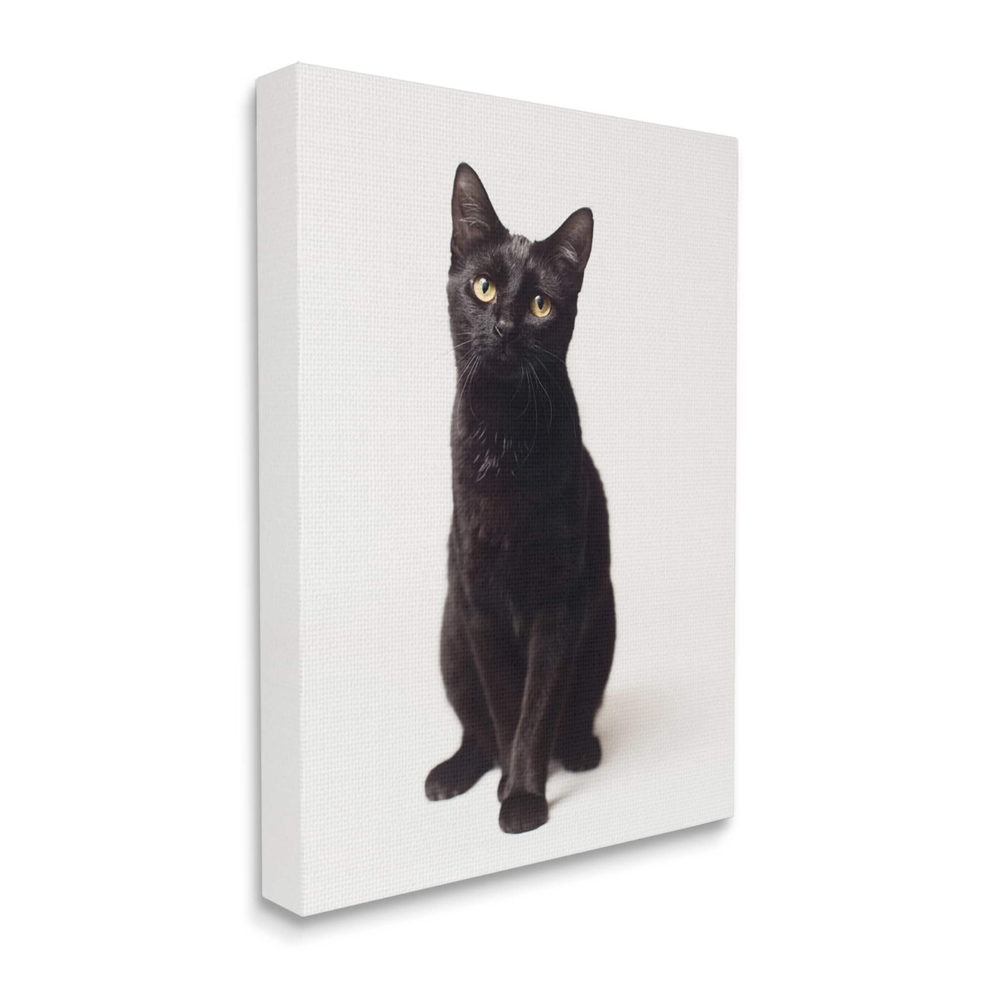 Stupell Industries Cute Black Cat Expressive Eyes Pet Portrait Canvas Wall Art