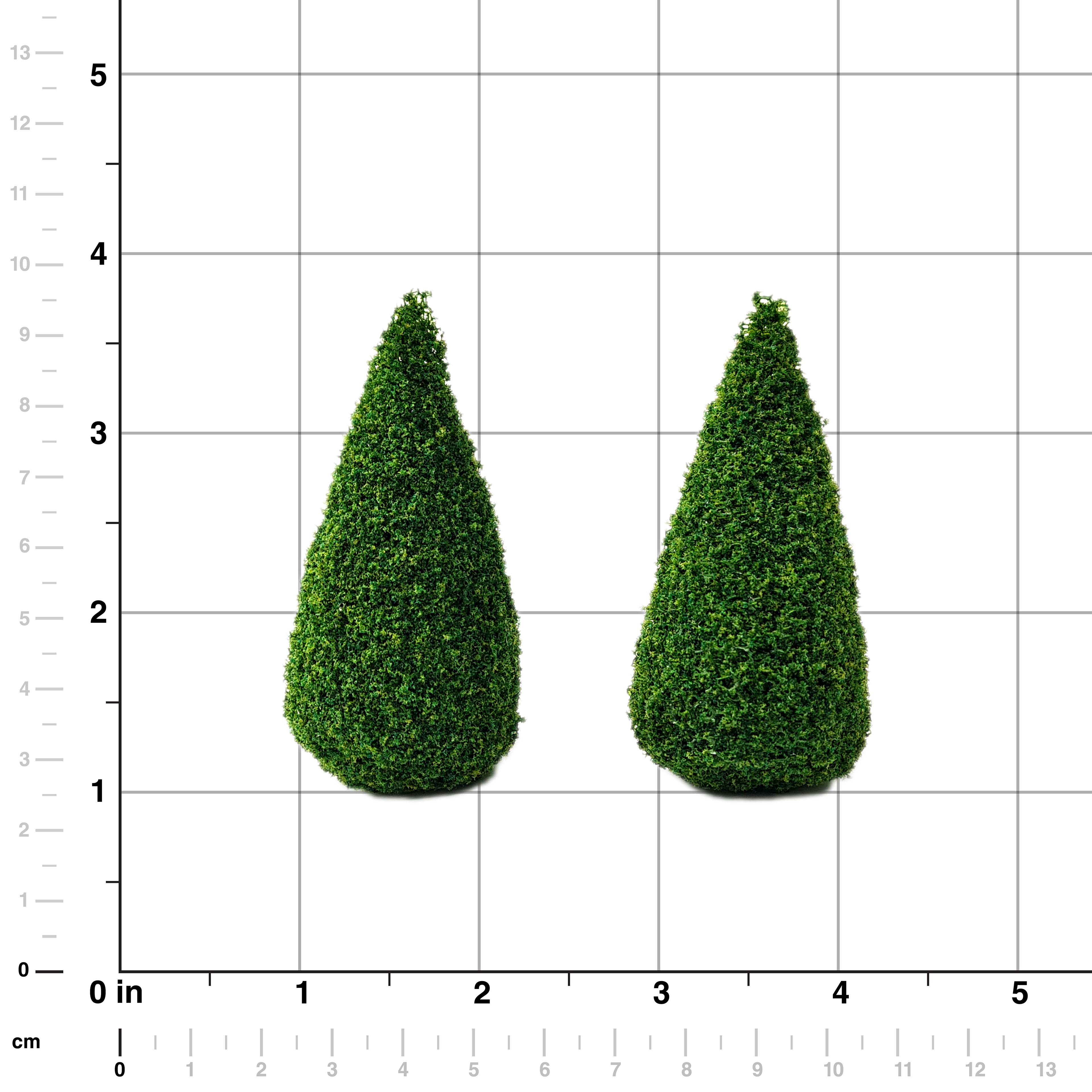 Miniature Boxwood Shrubs, 2ct. by Make Market&#xAE;