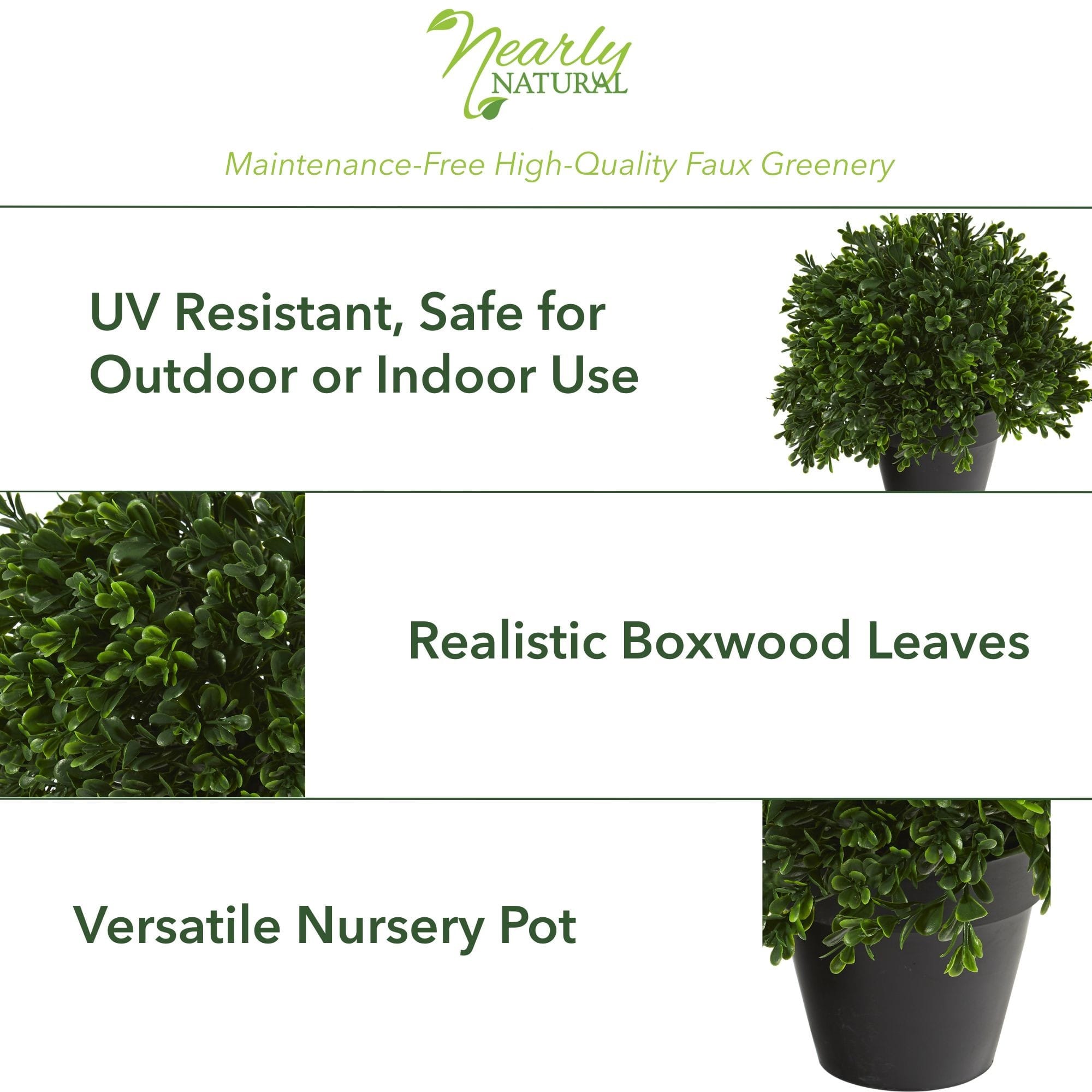 10&#x201D; Potted Boxwood Topiary Plant