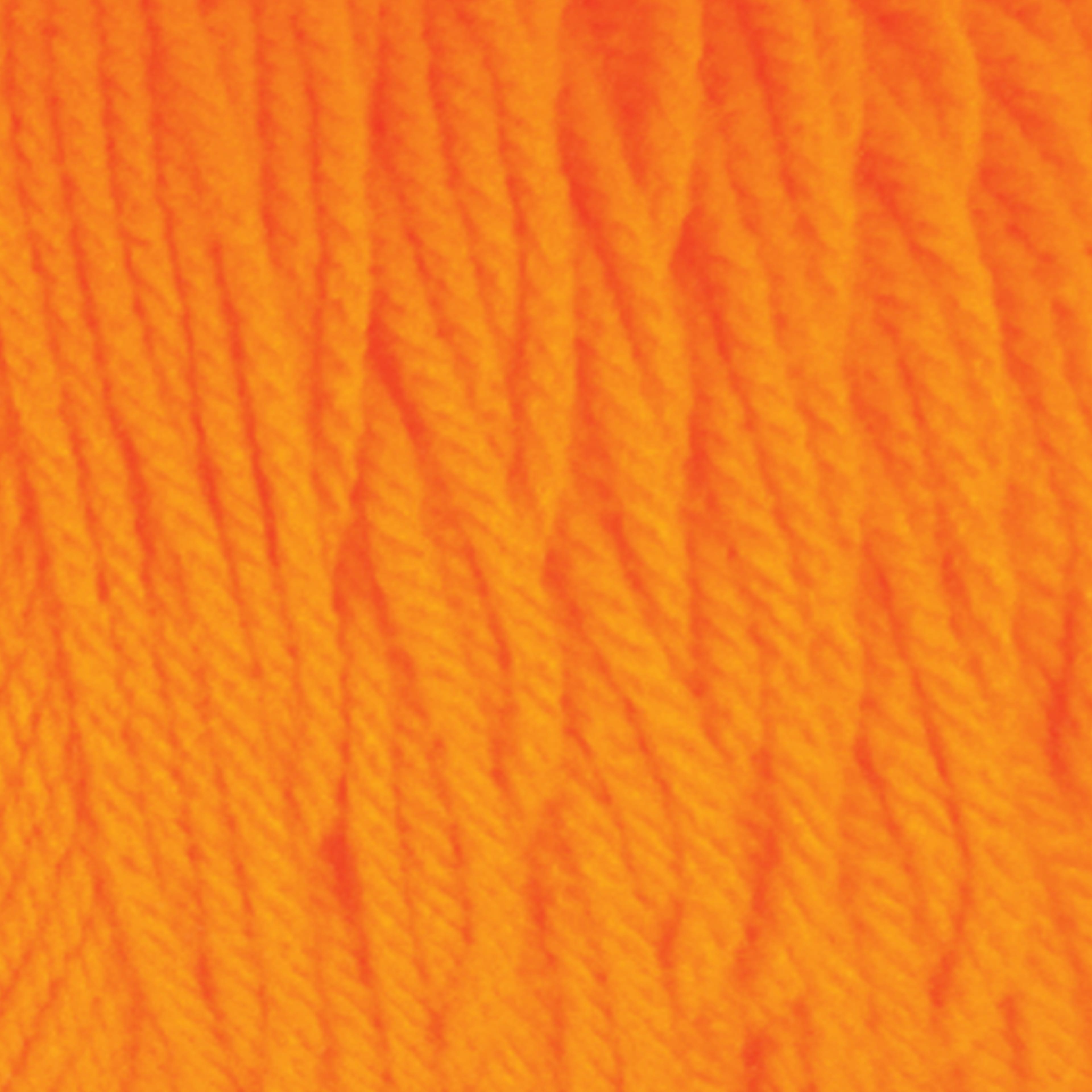 Big Twist&#xAE; Value Yarn