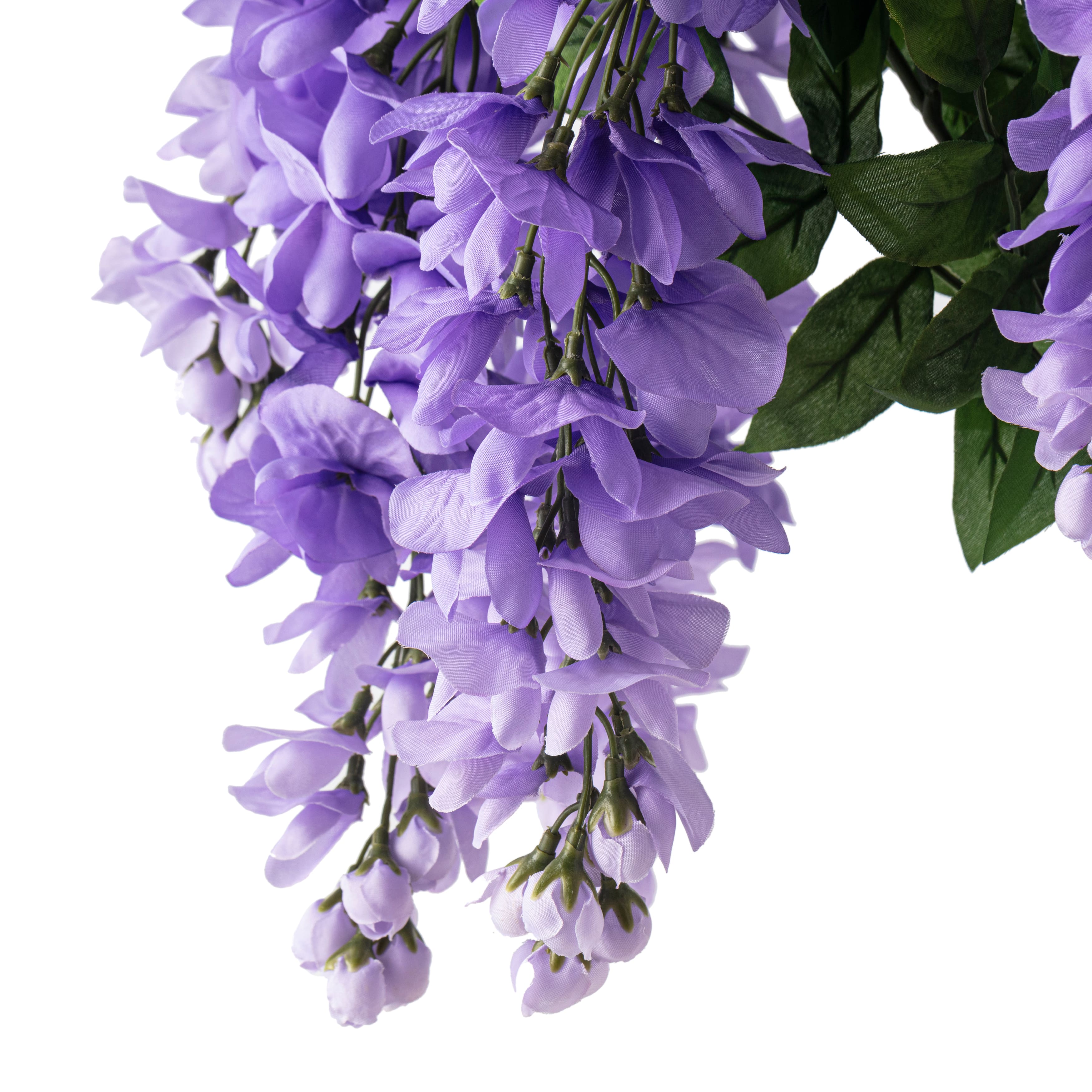 Purple Wisteria Bush by Ashland®