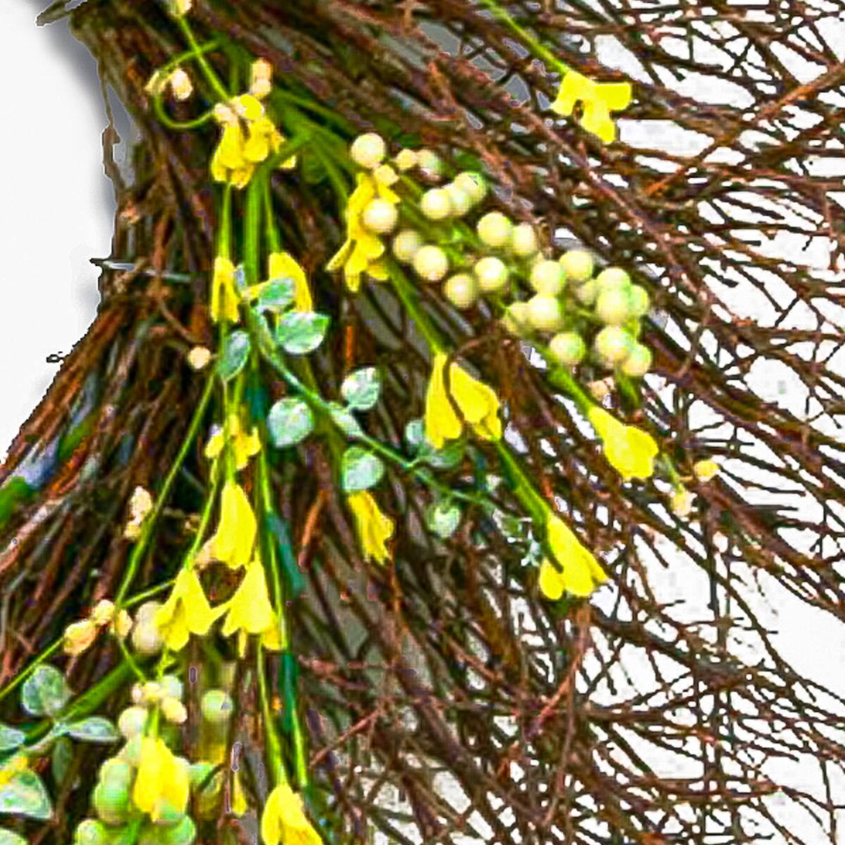 24&#x22; Spring Yellow Forsythia Wreath