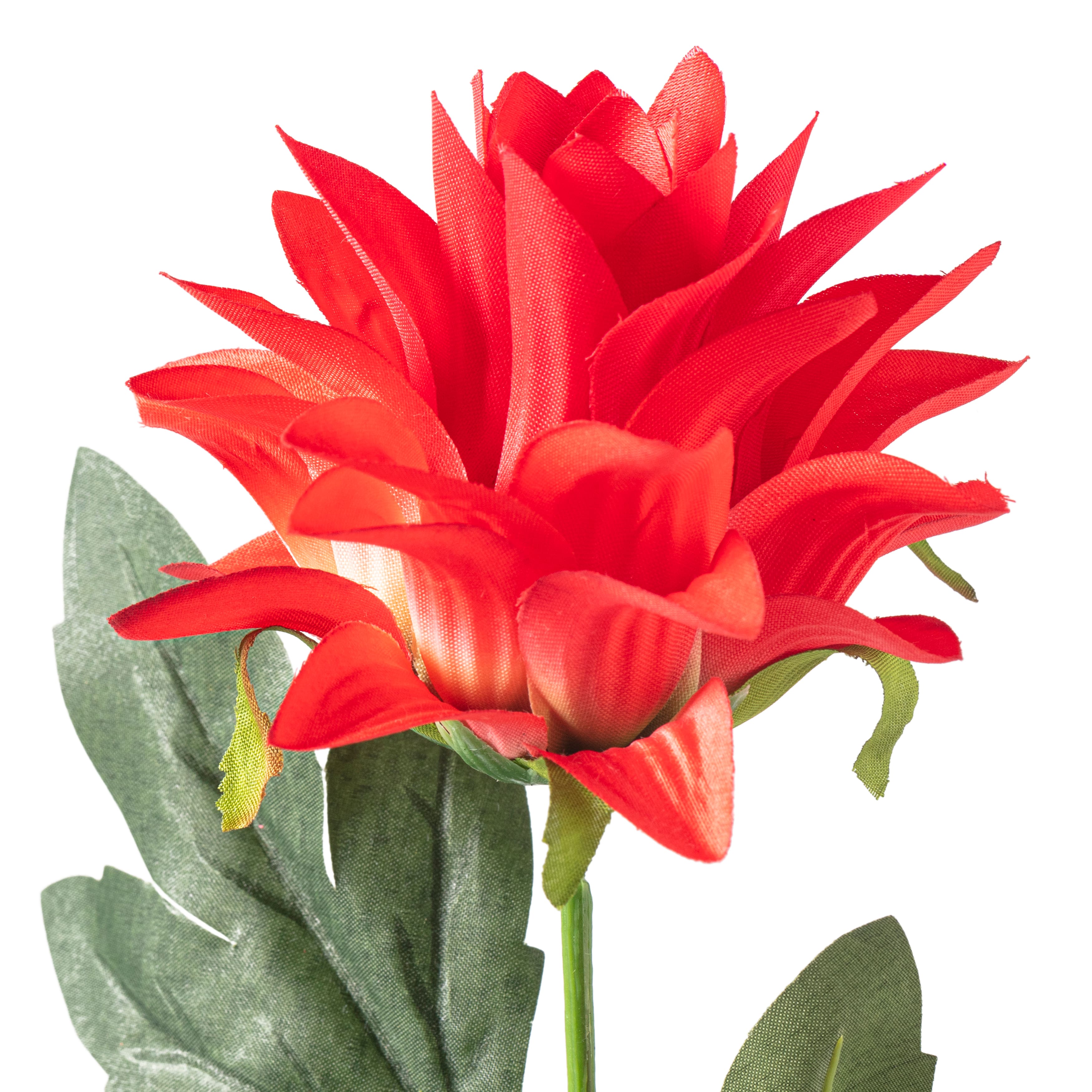 Red Hops Stem by Ashland&#xAE;