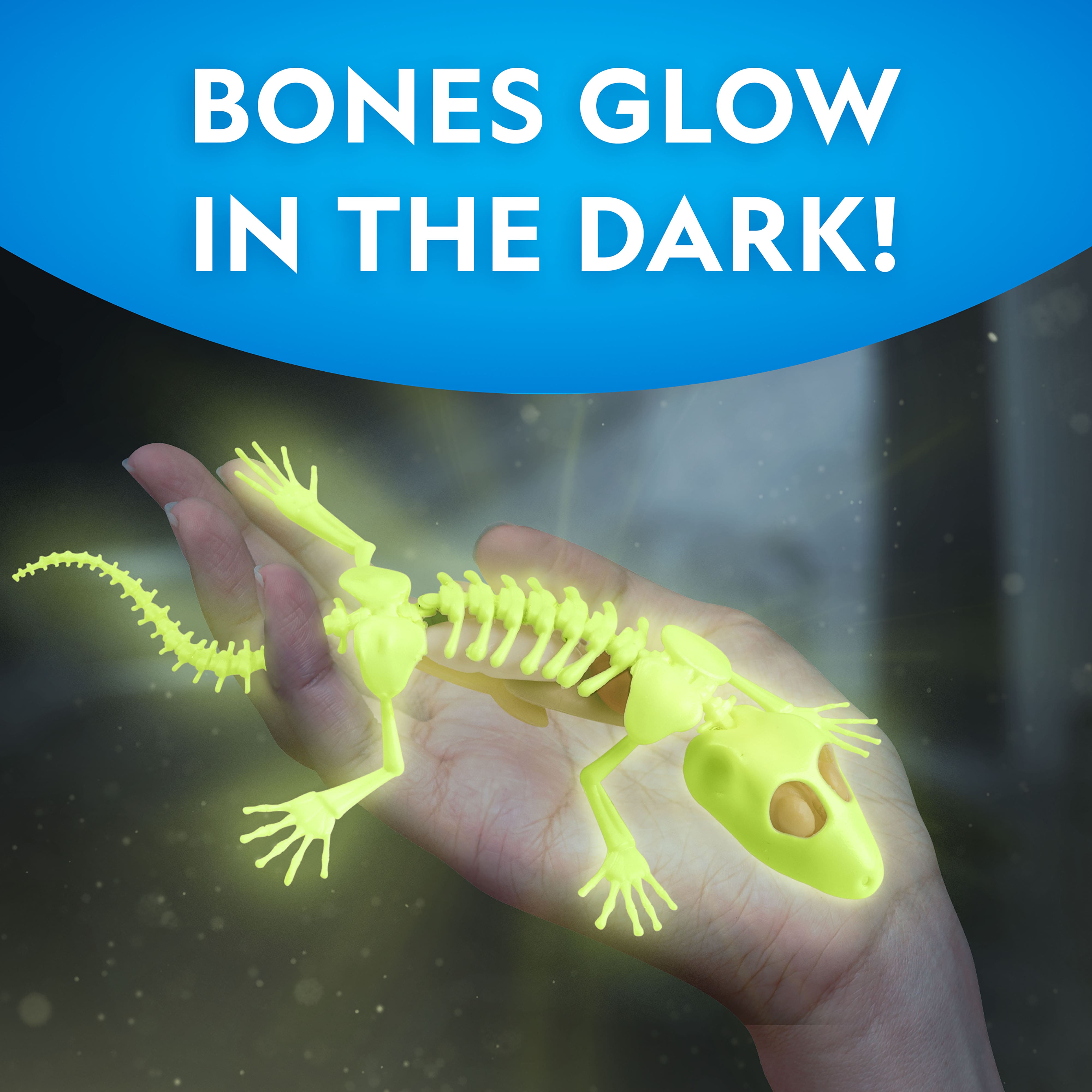 National Geographic&#x2122; Glow-in-the-Dark Gecko Dissection Lab