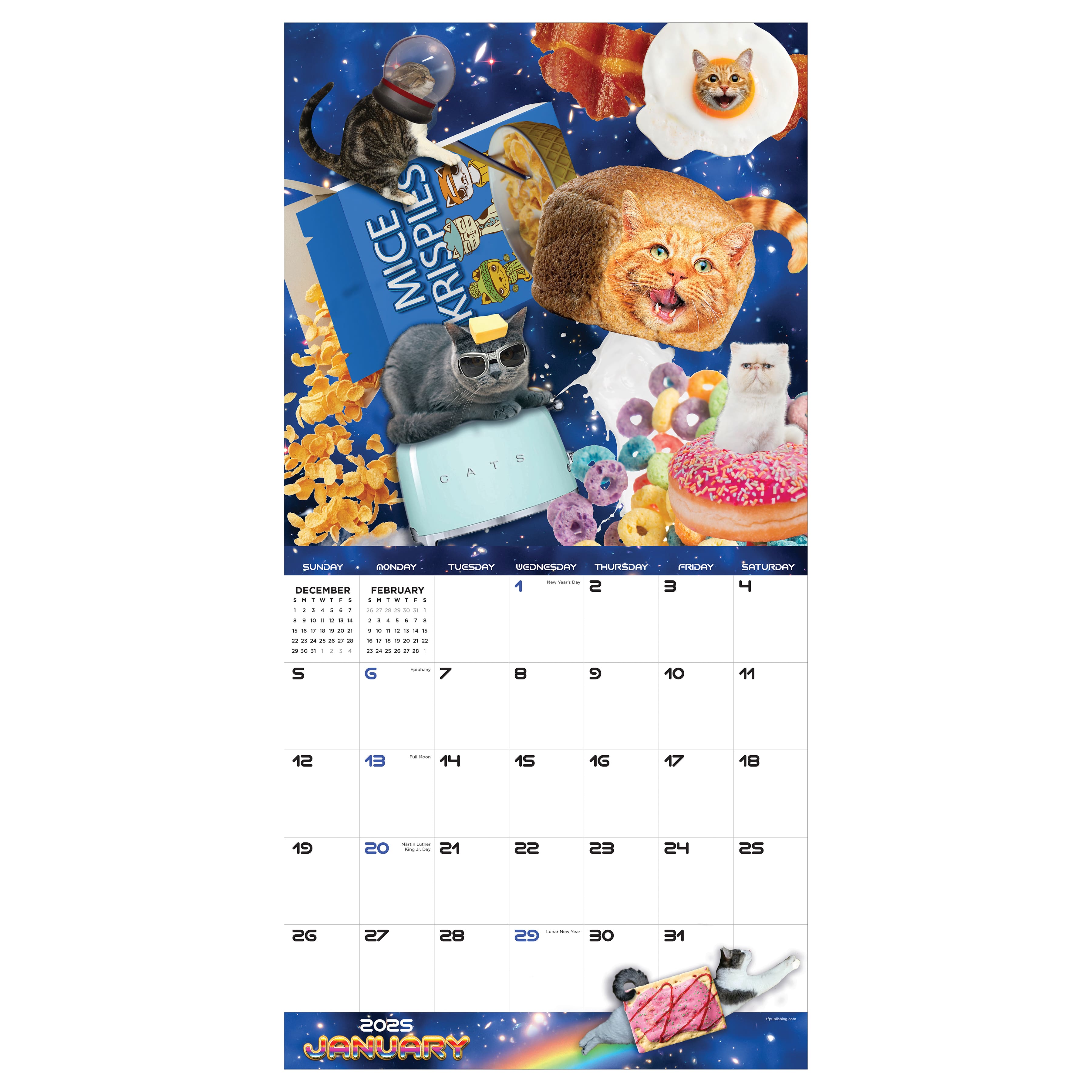 TF Publishing 2025 Space Cats Wall Calendar