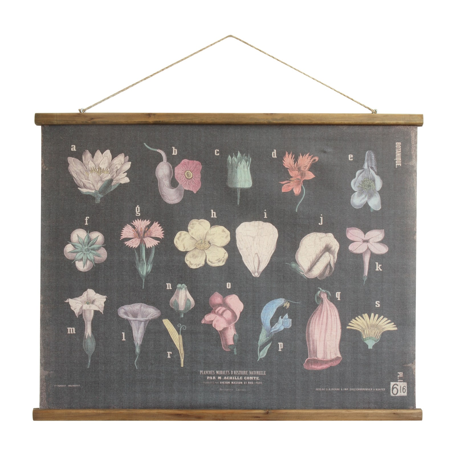 Hello Honey® 30.25" Black with Multicolored Botanicals Linen & Wood Scroll Wall Poster