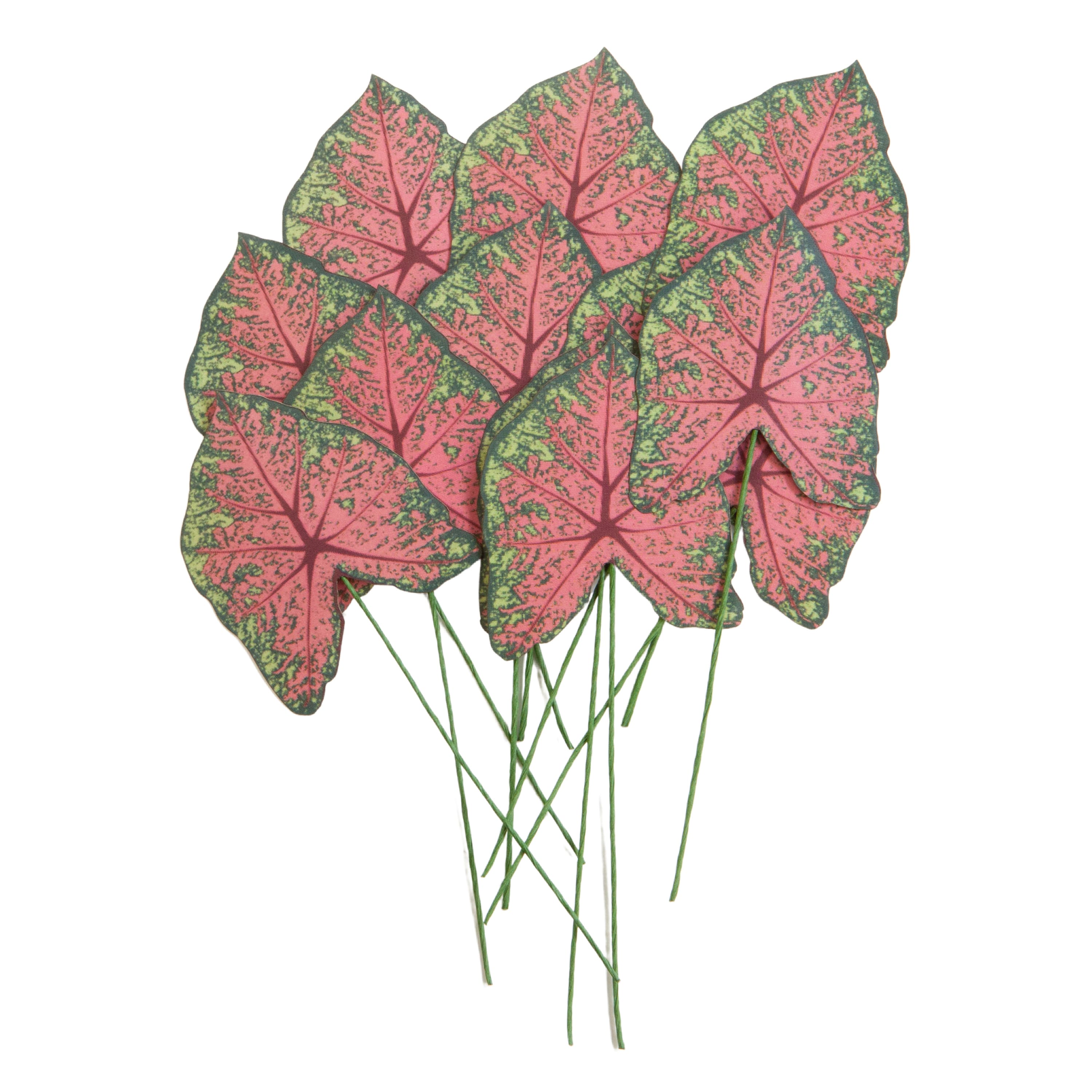 12 Packs: 12 ct. (144 total) Green & Pink Paper Caladium Leaves by Recollections™