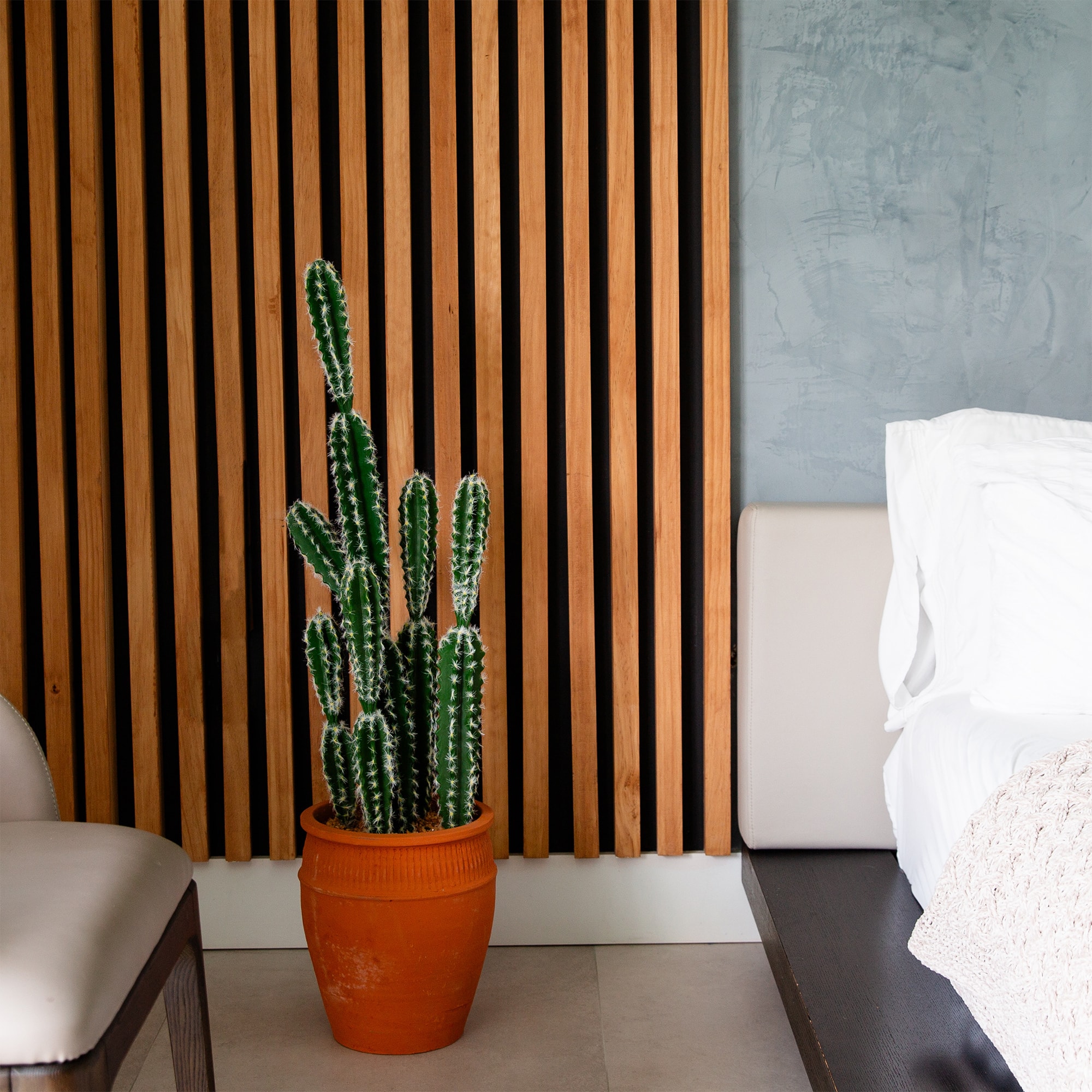 3ft. Cactus in Terracotta Planter