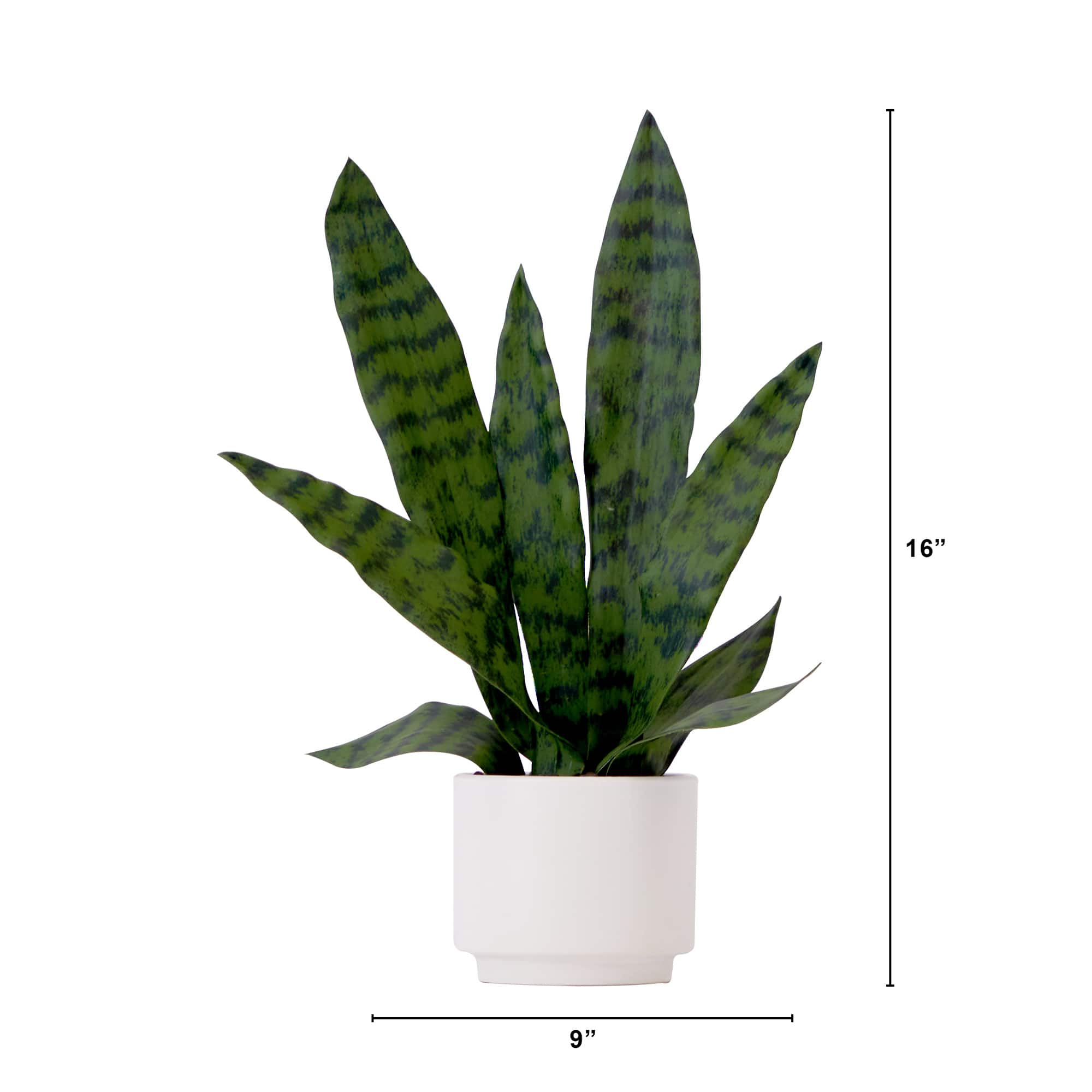 16&#x22; Artificial Sansevieria Snake Plant with Decorative Planter 