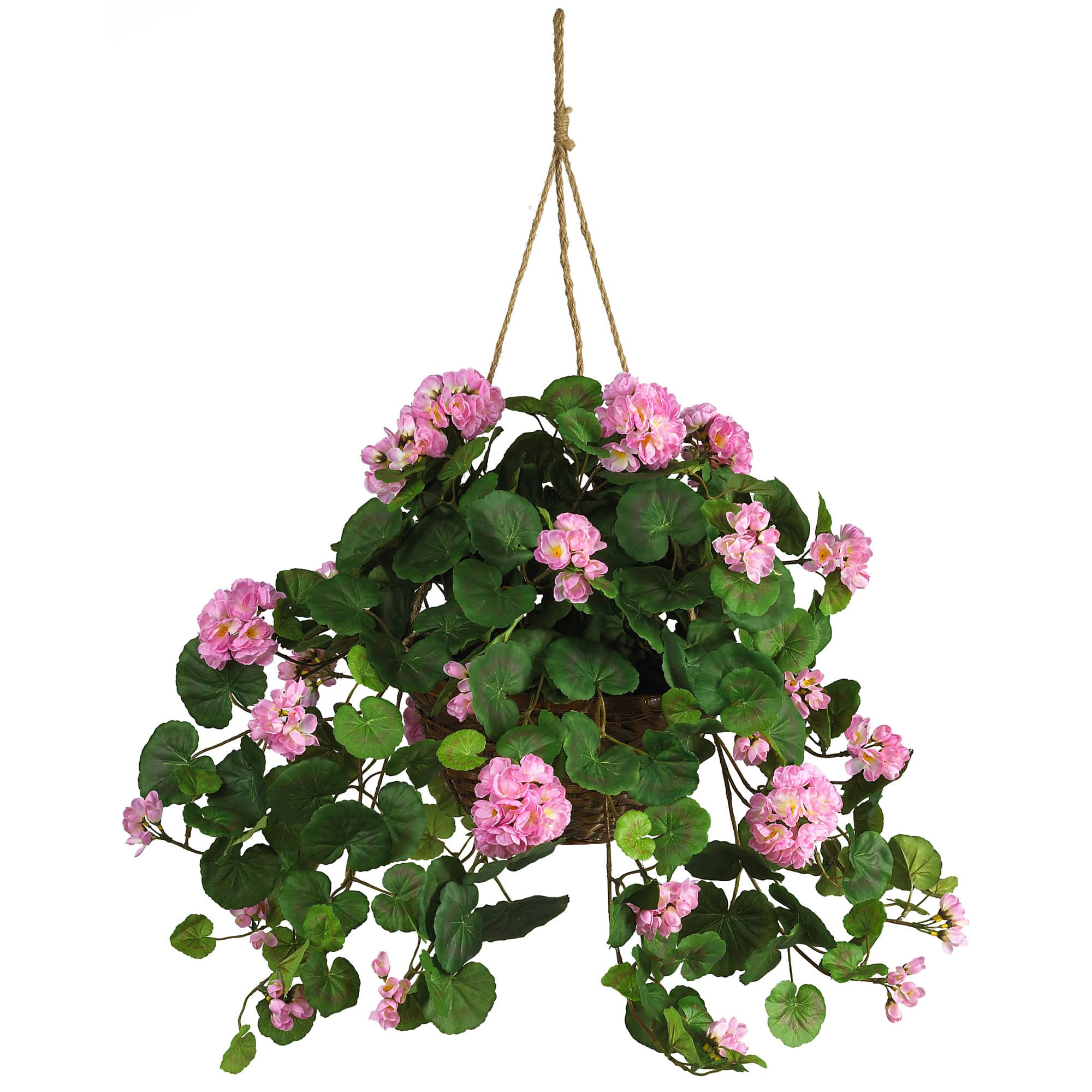 24&#x22; Pink Geranium in Hanging Basket