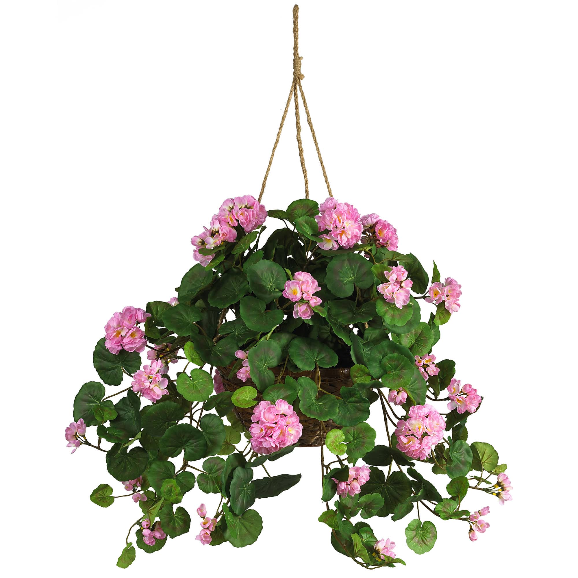 24" Pink Geranium in Hanging Basket