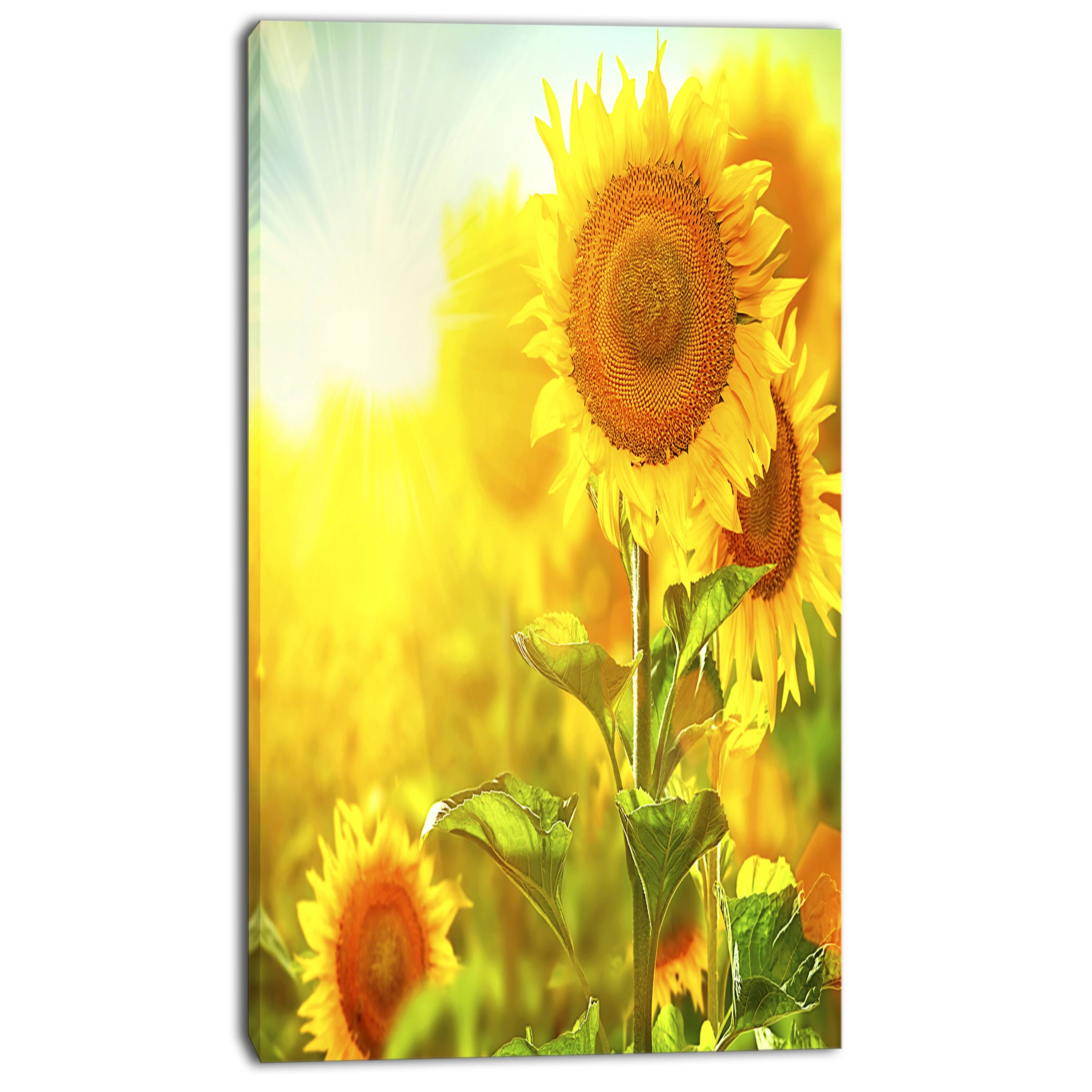 Designart - Bright Sunflowers Blooming on Field - Large Animal Canvas Art Print