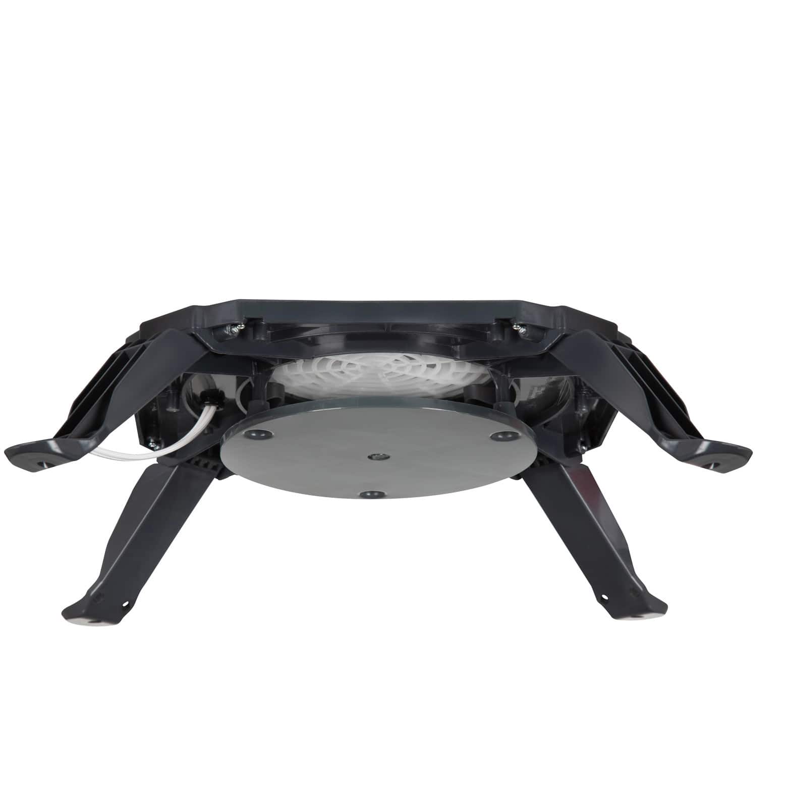 9ft. Airblown® Animated Halloween Inflatable T-Rex with Jack-O'-Lantern