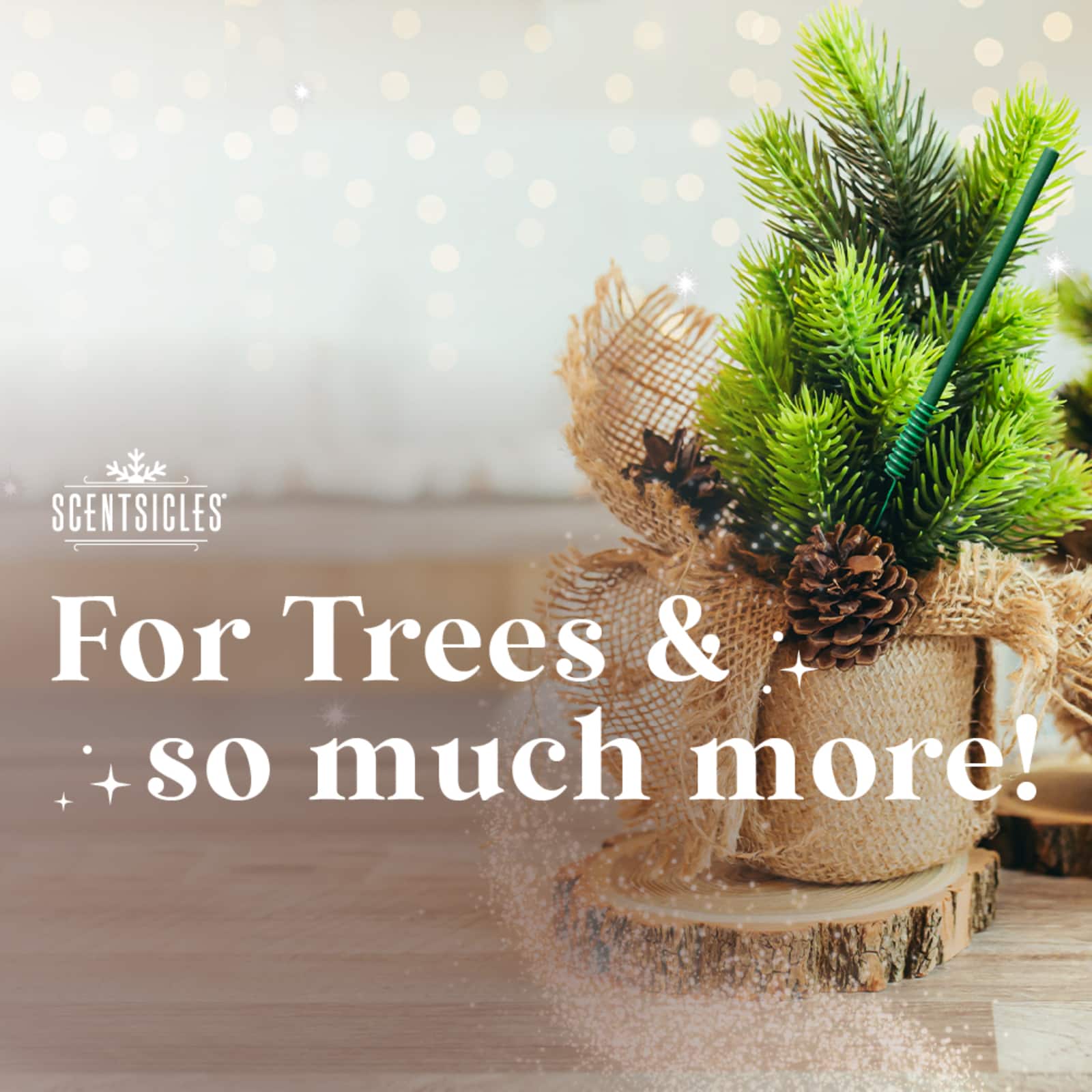 Scentsicles Scented Ornament Stick White Winter Fir, Snowberry Pine and Icicles on Spruce Sticks, 3 Pack of 6