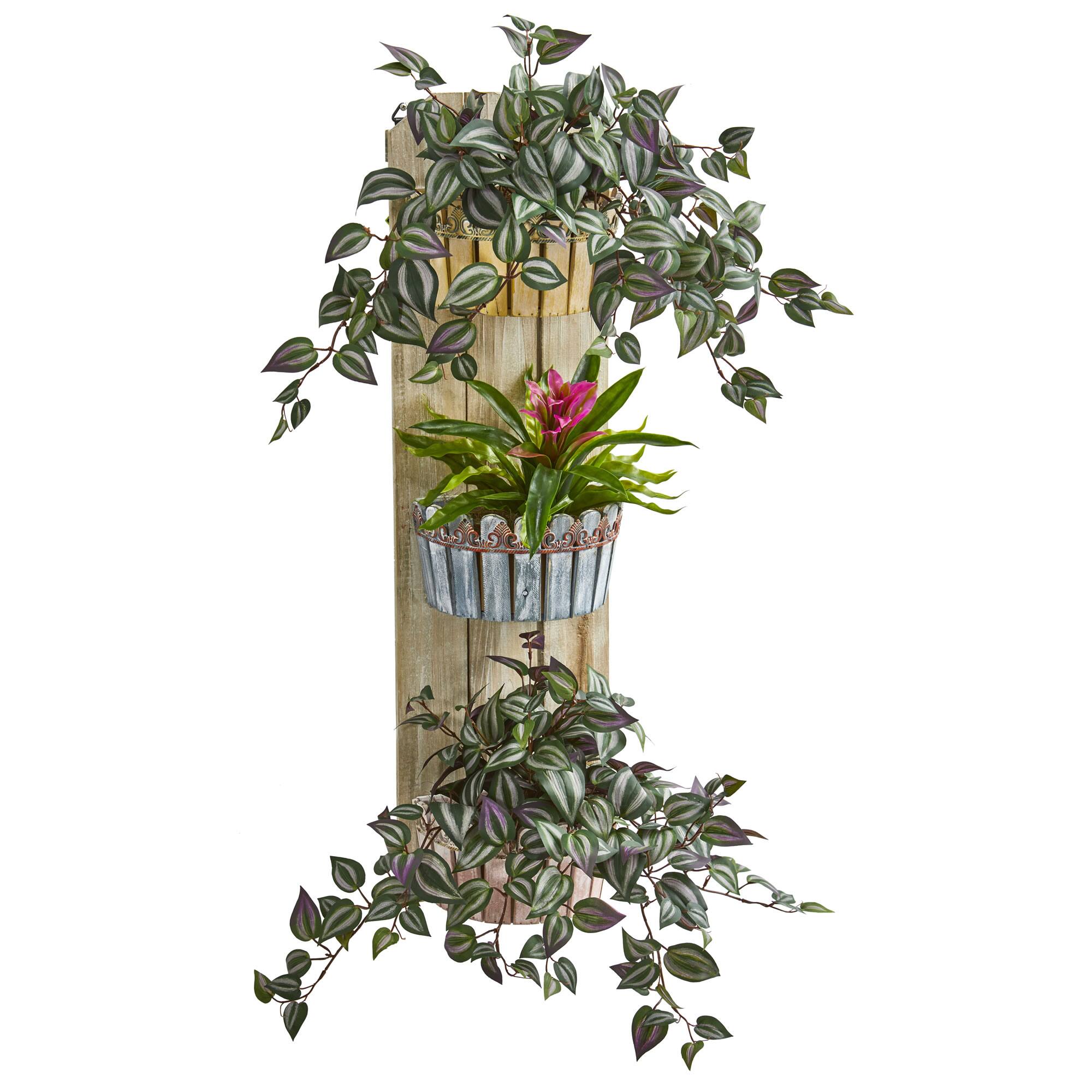 3.5ft. Bromeliad & Inchplant in Three-Tiered Wall Planter
